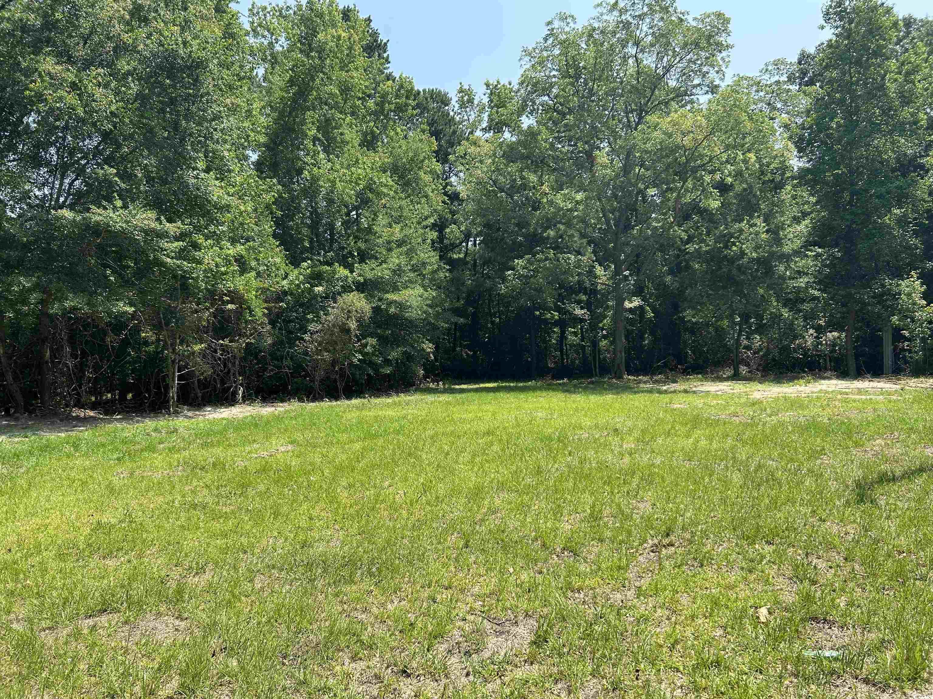 7462 Friendfield Rd., Effingham, South Carolina image 16