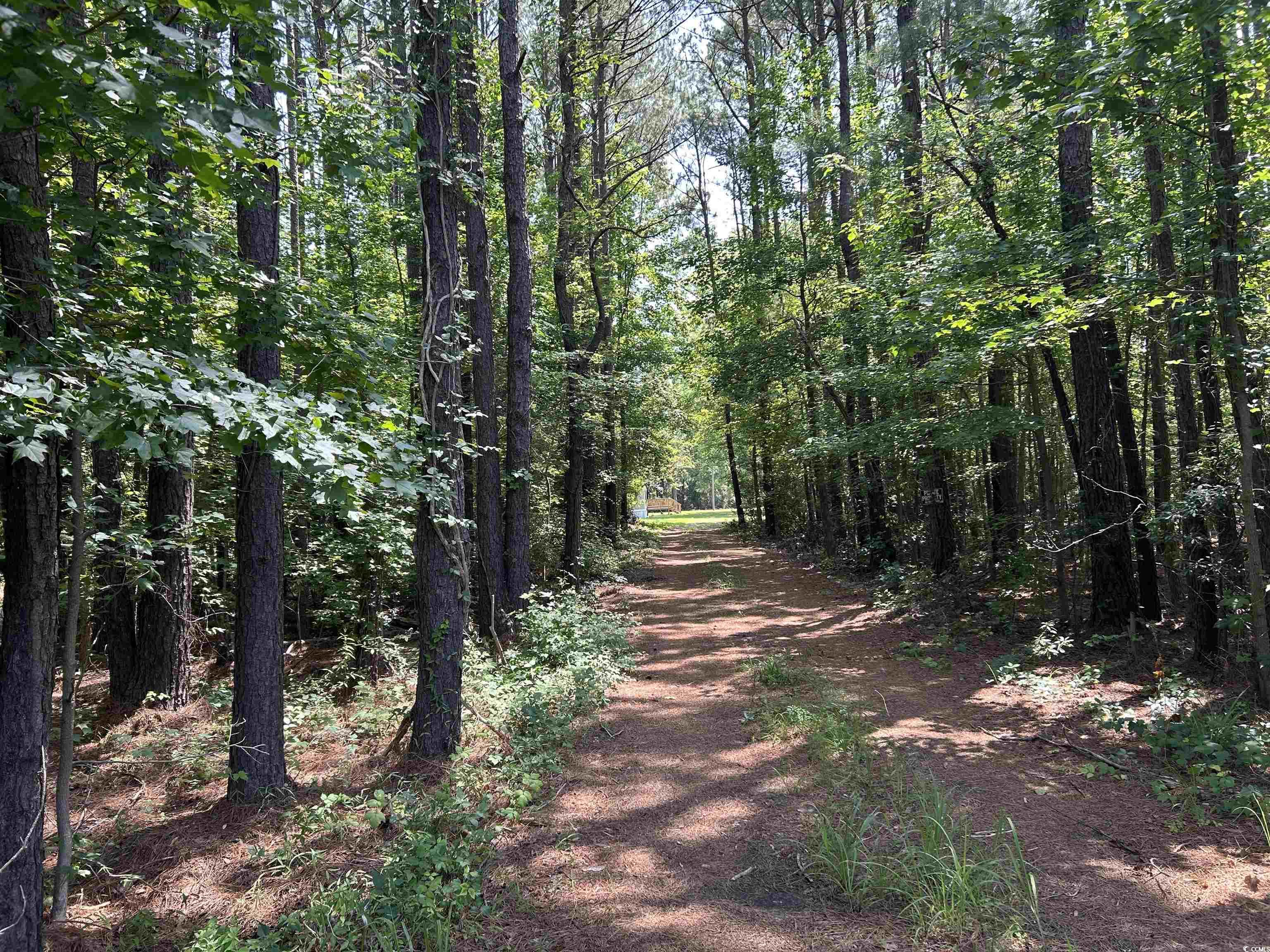7462 Friendfield Rd., Effingham, South Carolina image 2