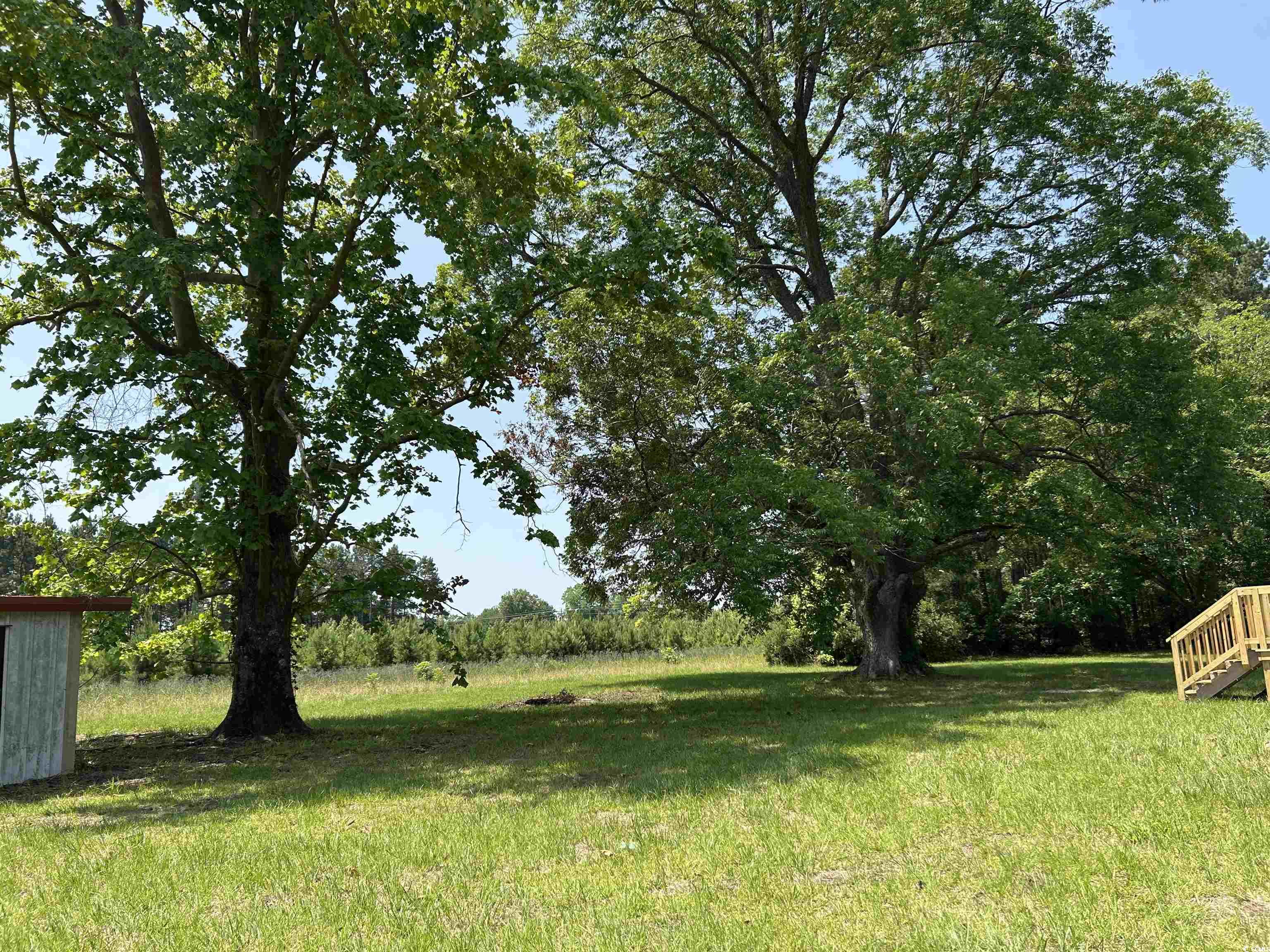 7462 Friendfield Rd., Effingham, South Carolina image 20