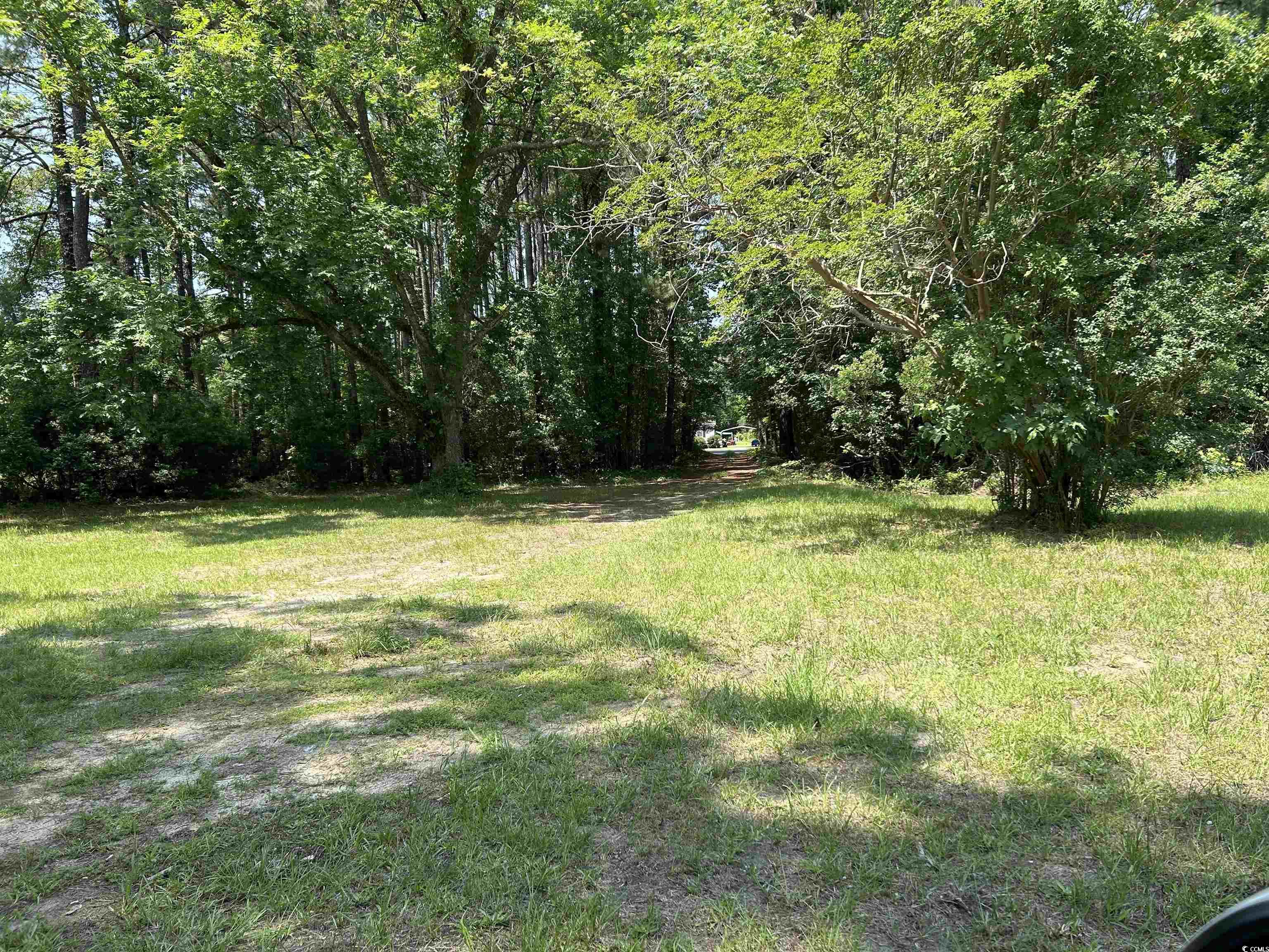 7462 Friendfield Rd., Effingham, South Carolina image 21