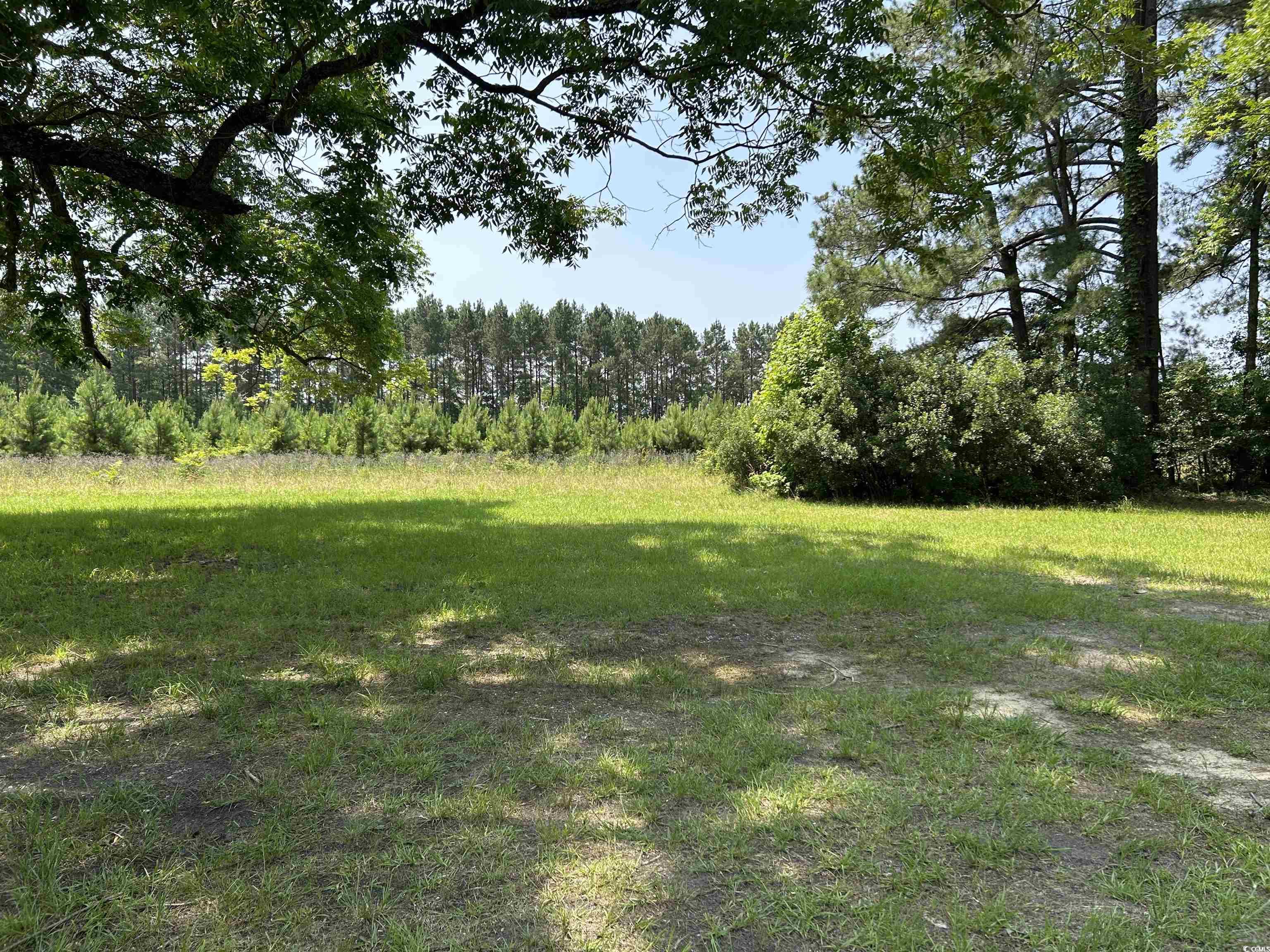 7462 Friendfield Rd., Effingham, South Carolina image 22