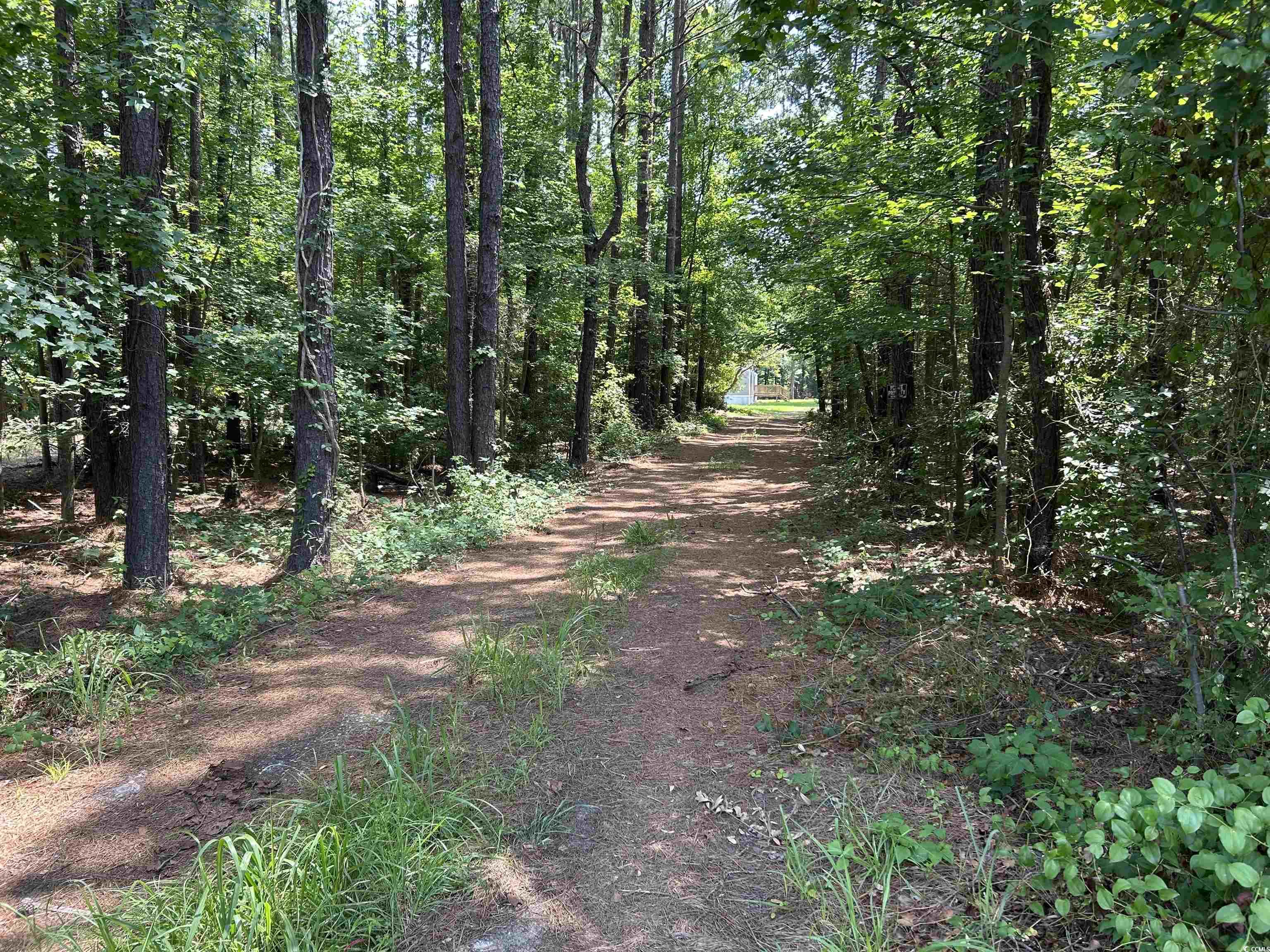 7462 Friendfield Rd., Effingham, South Carolina image 23