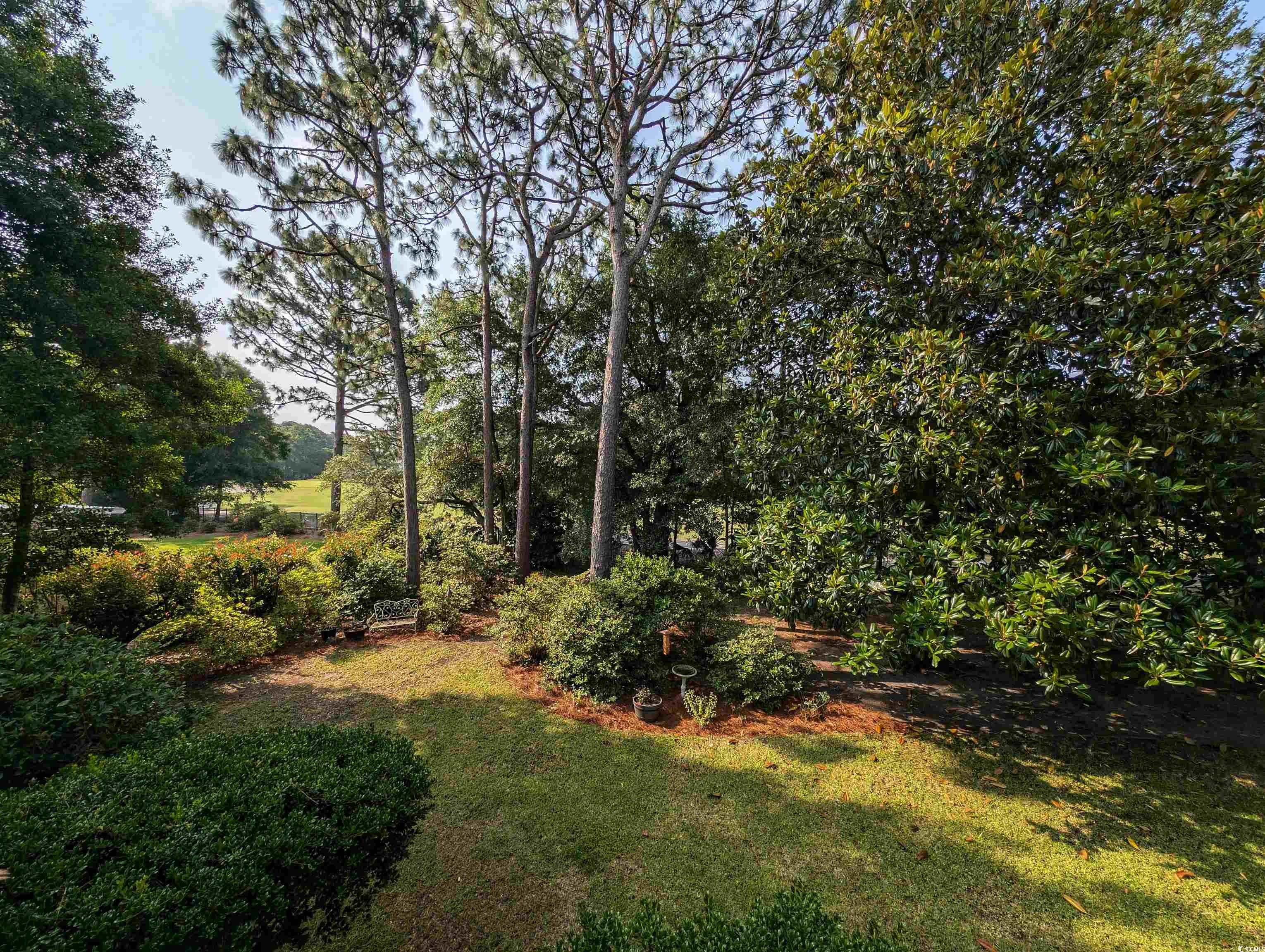 1073 Crooked Oak Dr., Pawleys Island, South Carolina image 30