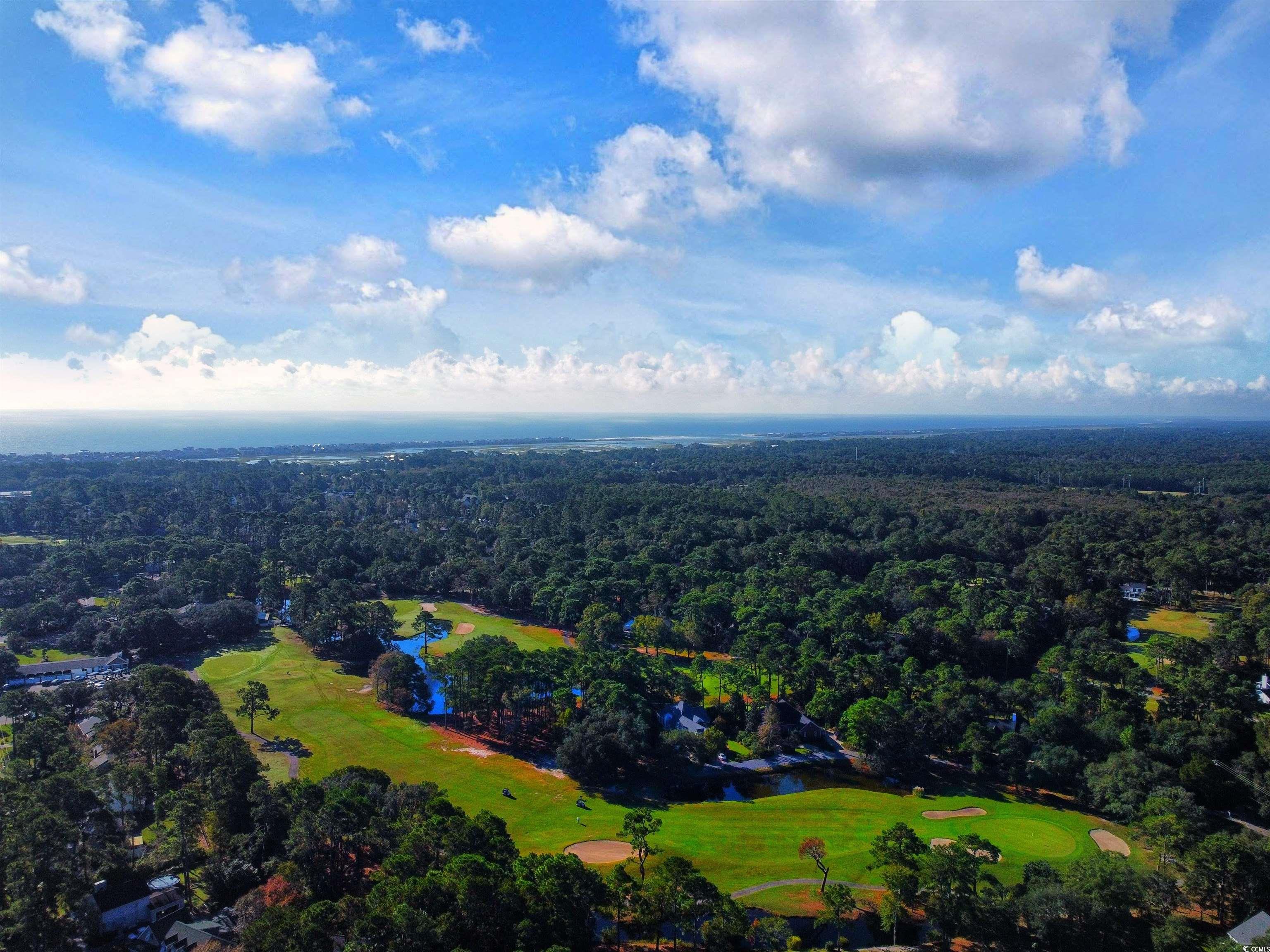 1073 Crooked Oak Dr., Pawleys Island, South Carolina image 37