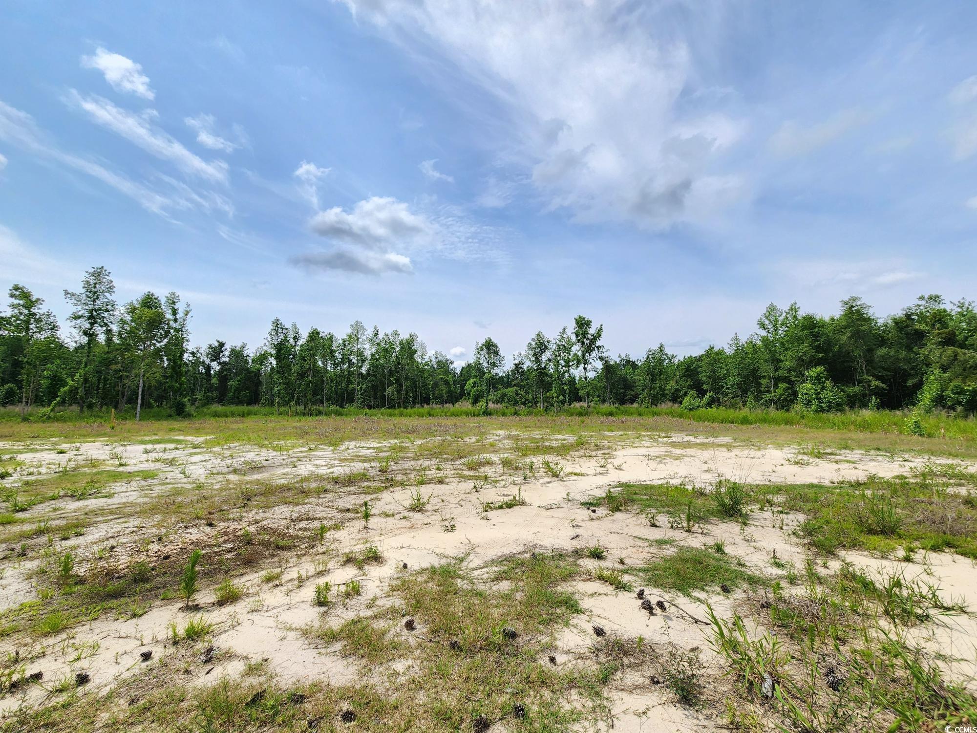 5375 Long Branch Swamp Rd., Nichols, South Carolina image 1