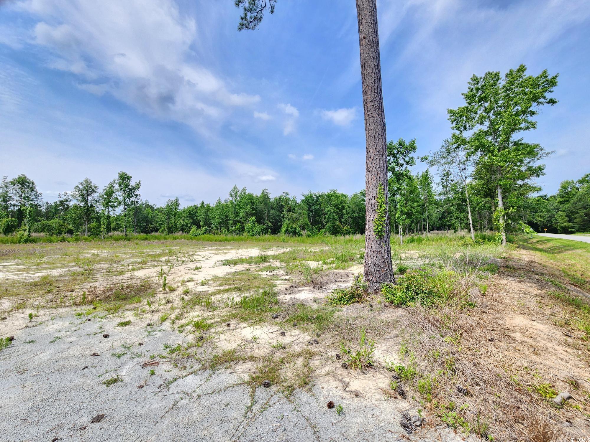 5375 Long Branch Swamp Rd., Nichols, South Carolina image 2