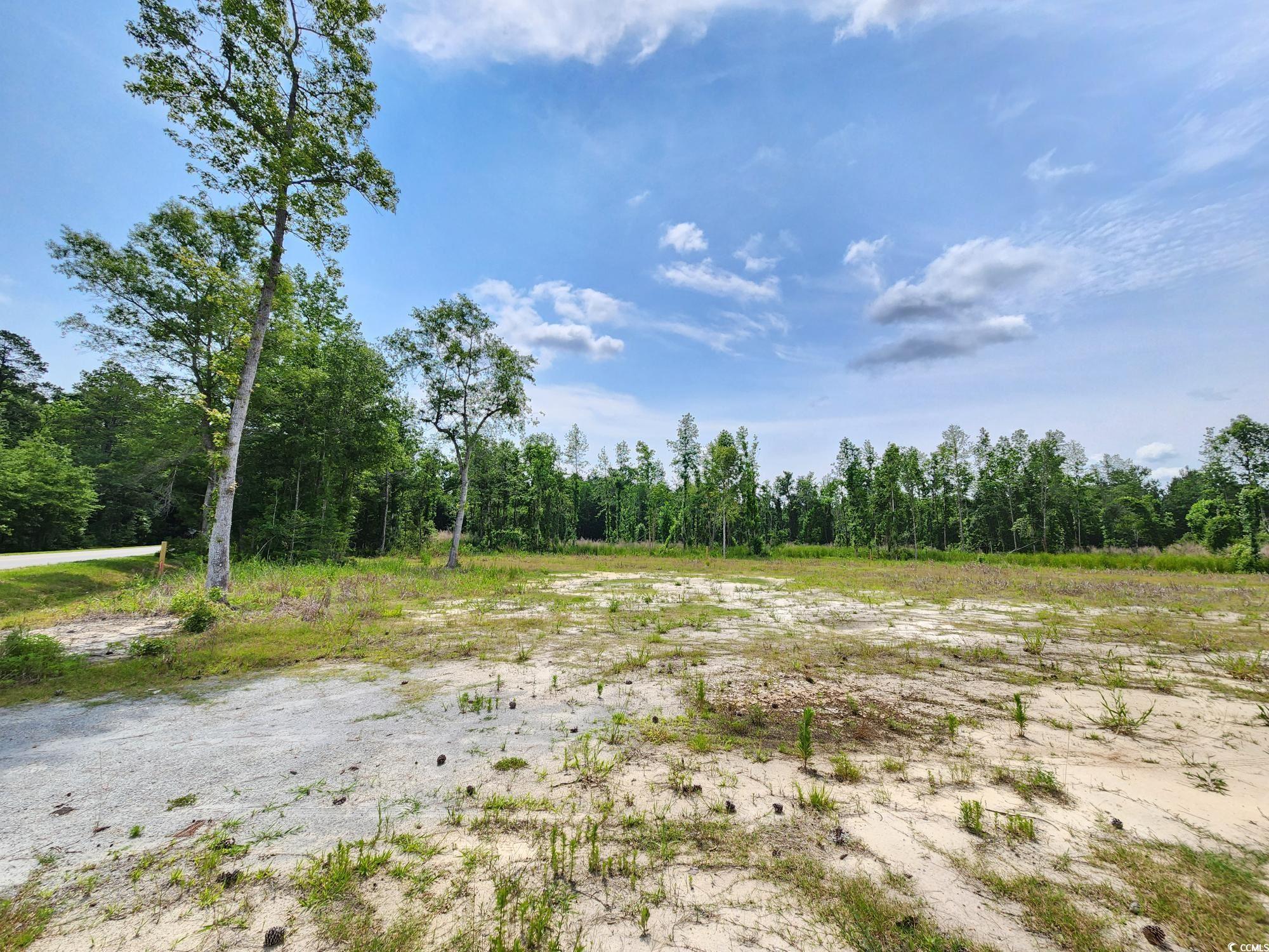 5375 Long Branch Swamp Rd., Nichols, South Carolina image 3