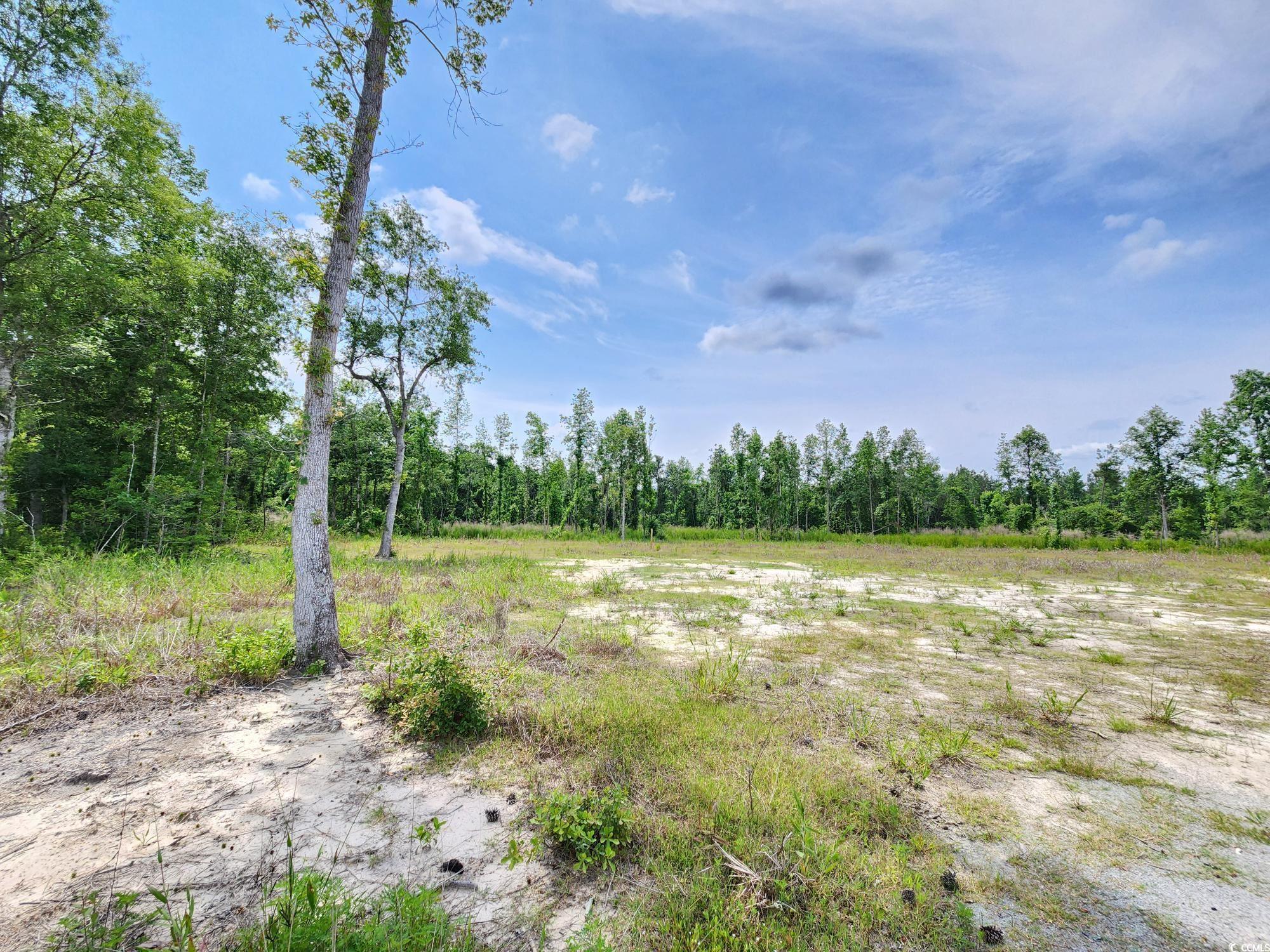 5375 Long Branch Swamp Rd., Nichols, South Carolina image 4