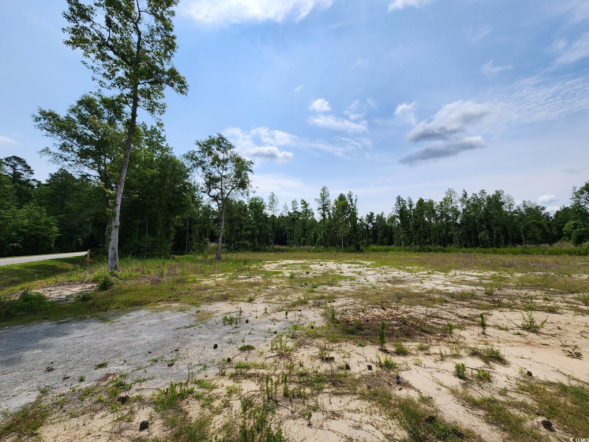 5375 Long Branch Swamp Rd., Nichols, South Carolina image 5