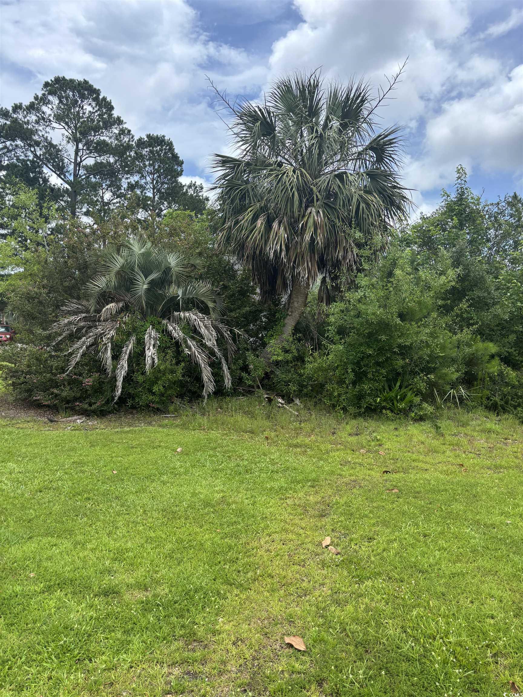 Aberdeen Golf Course, Longs, South Carolina image 7