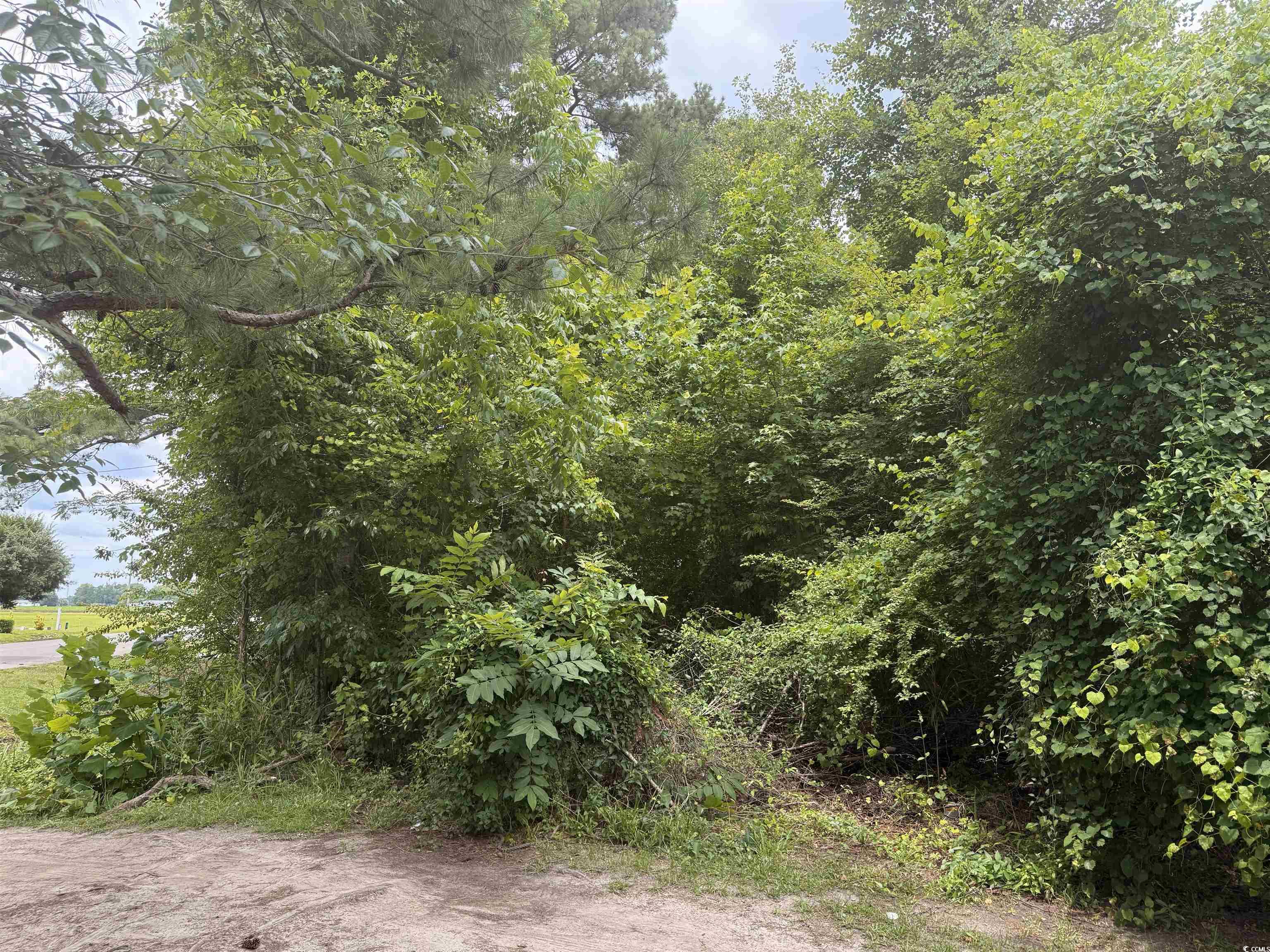 89 Pine Circle, Tabor City, North Carolina image 2