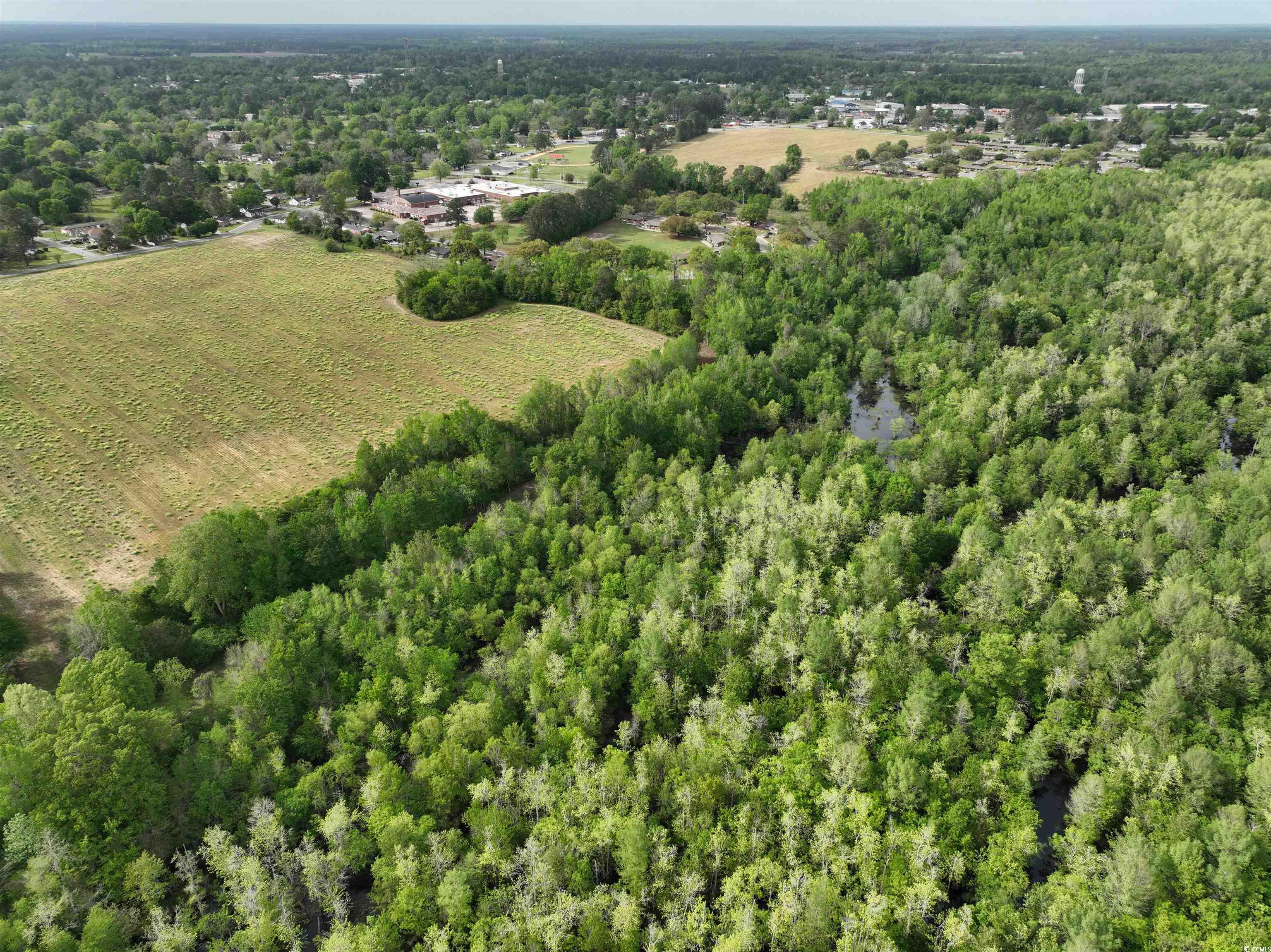 TBD Green St., Marion, South Carolina image 13