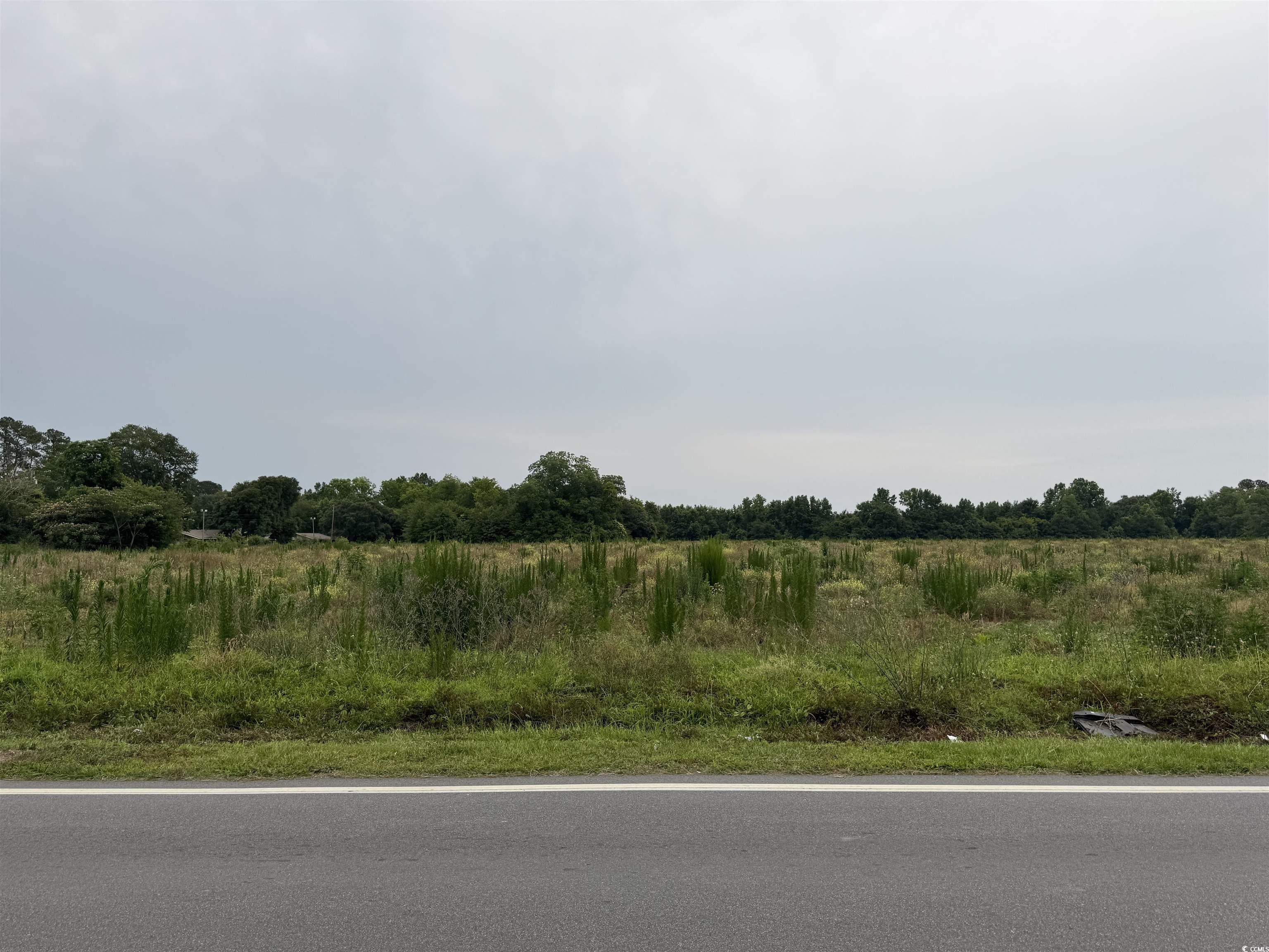TBD Green St., Marion, South Carolina image 15
