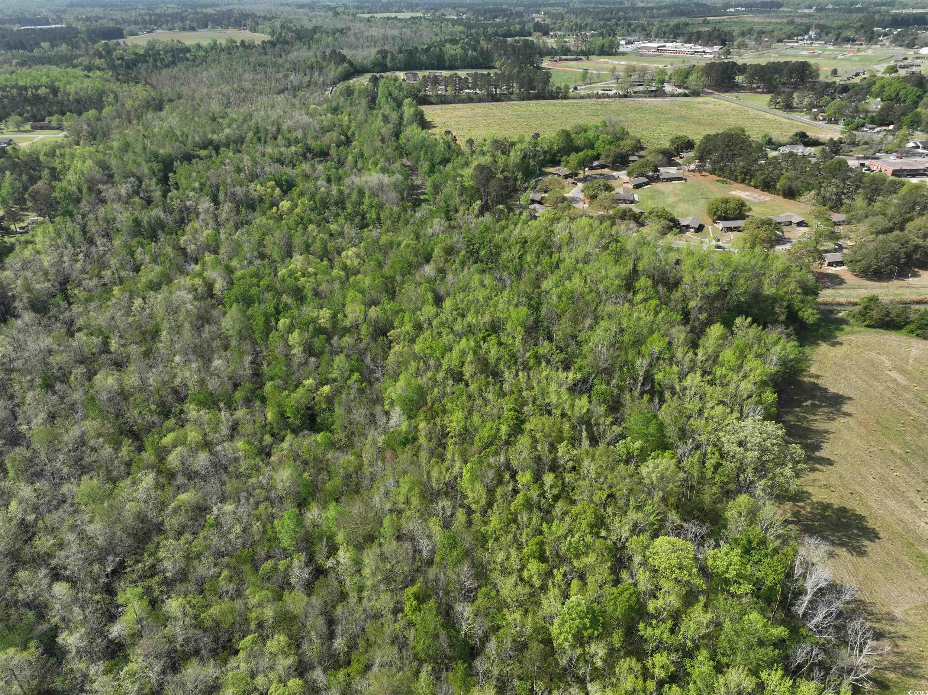 TBD Green St., Marion, South Carolina image 3