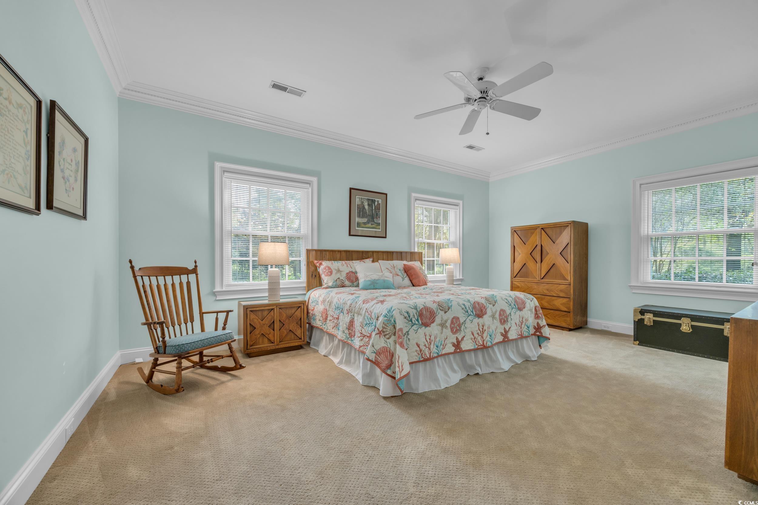1259 Oatland Lake Rd., Pawleys Island, South Carolina image 28