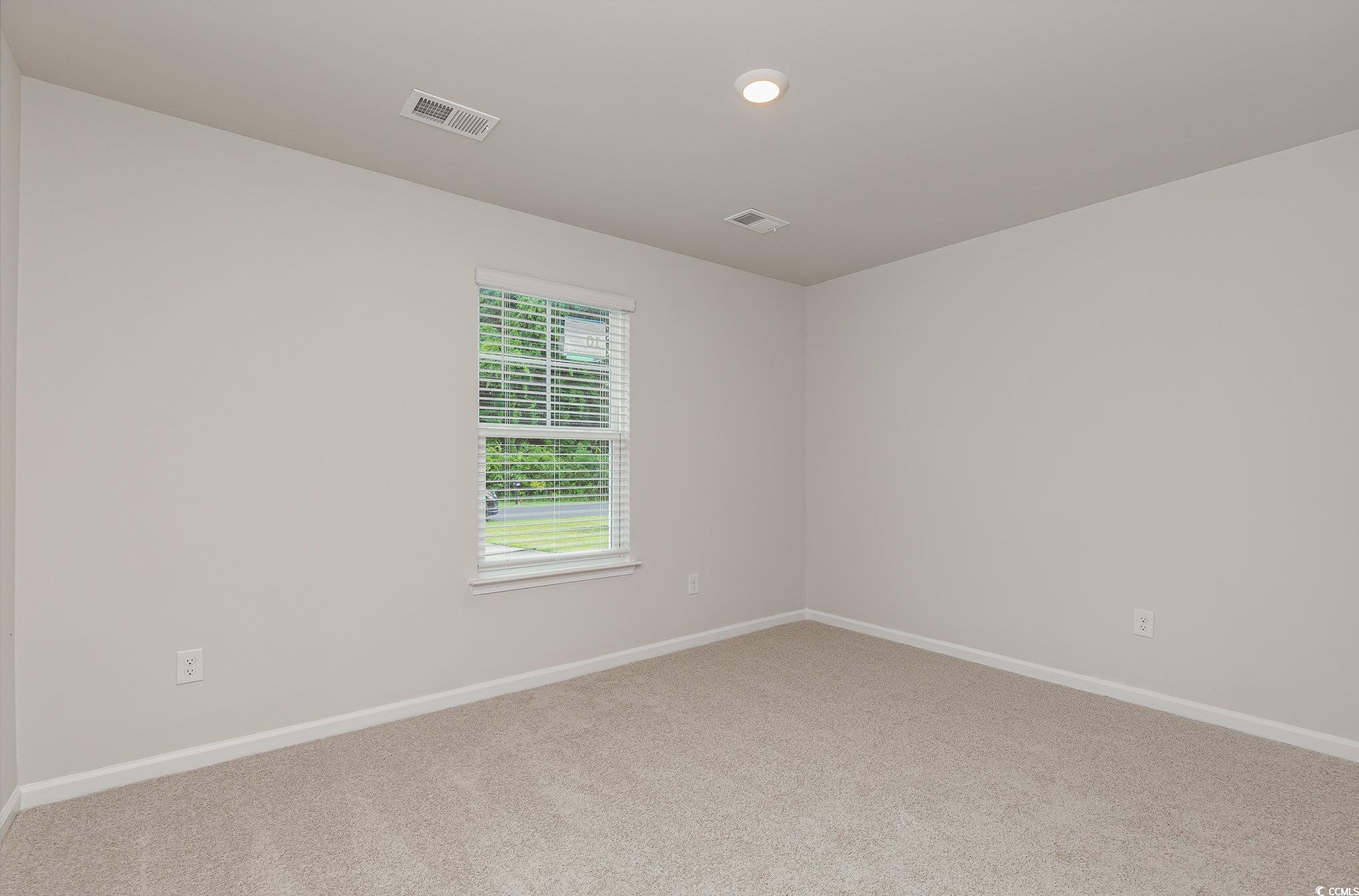 226 Carver Willow Dr., Loris, South Carolina image 19