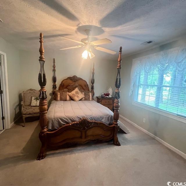 3001 Dewberry Dr., Conway, South Carolina image 12