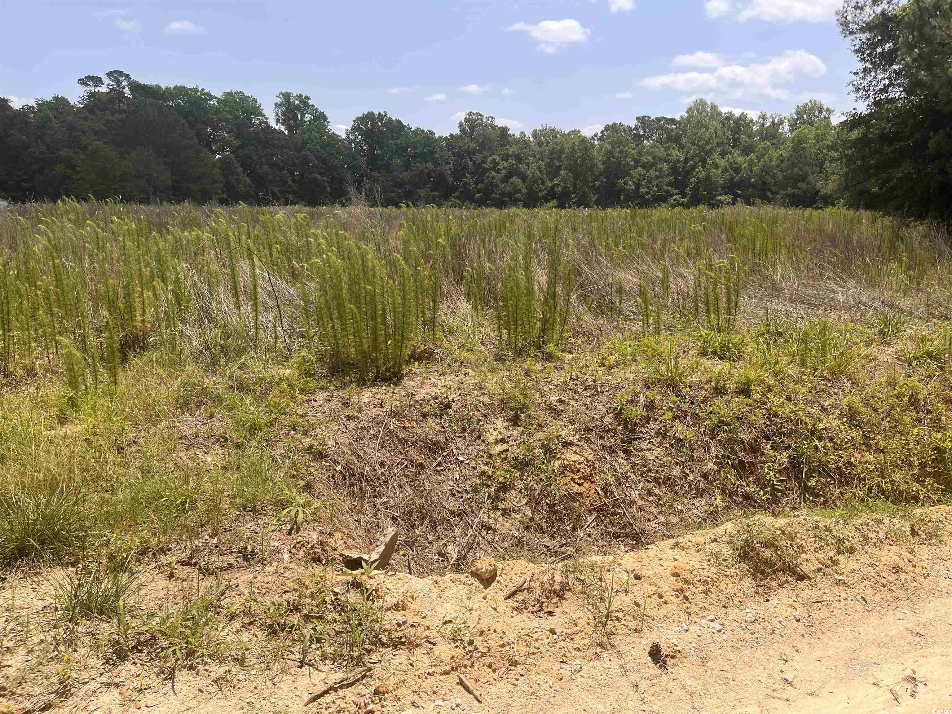 TBD Watts Rd. Loris, SC 29569