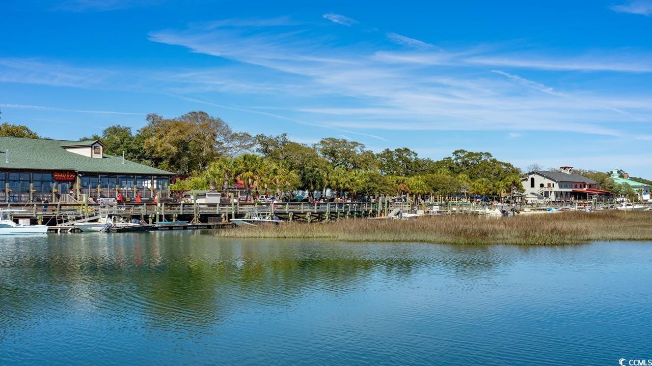 509 Haven View Way, Murrells Inlet, South Carolina image 28
