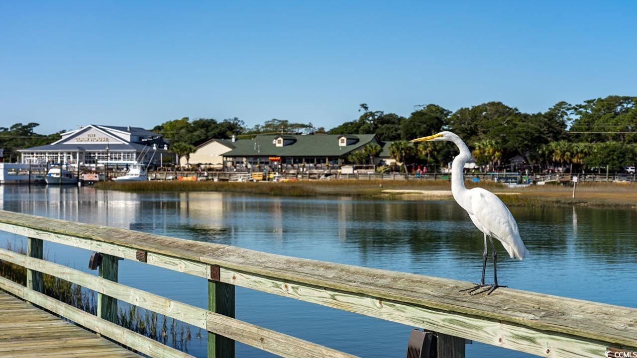 509 Haven View Way, Murrells Inlet, South Carolina image 32