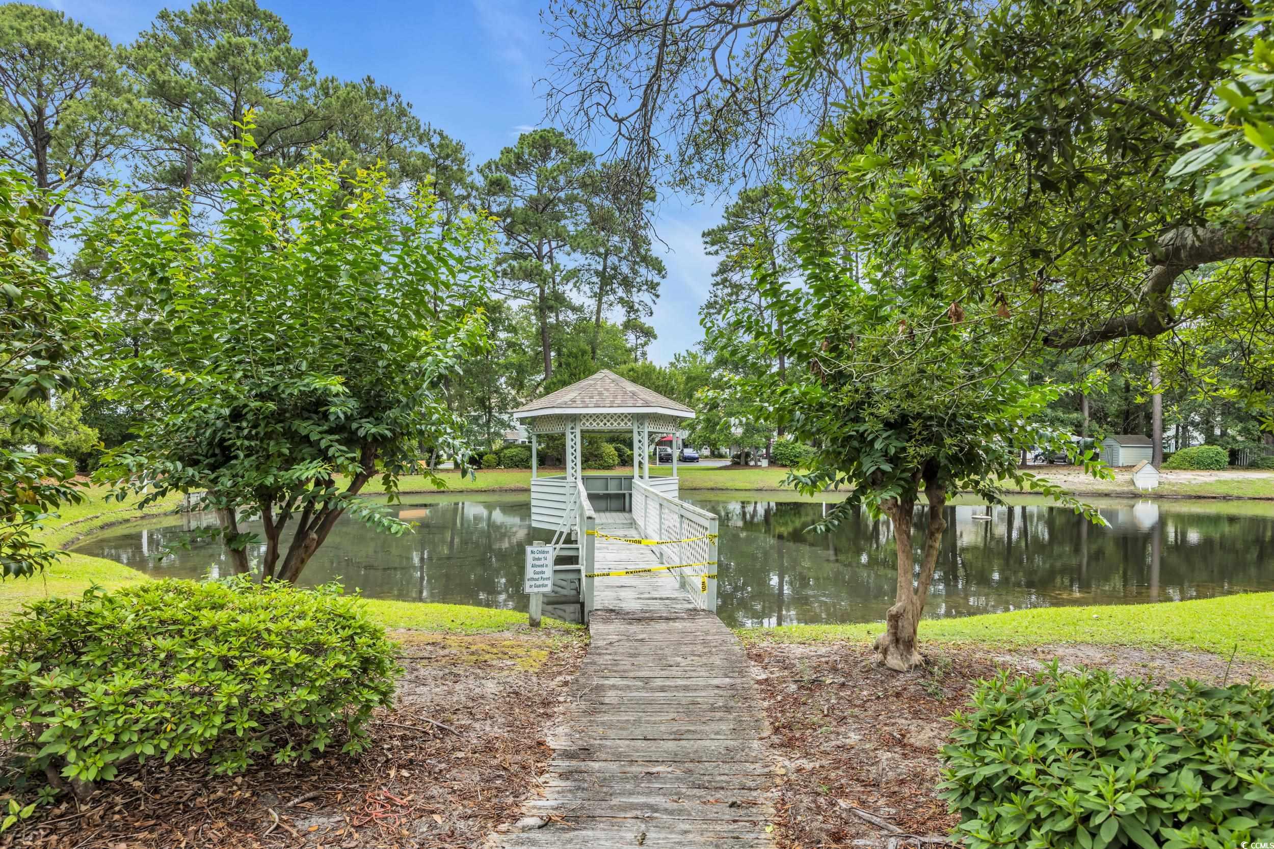 97 Shadow Moss Pl. #97, North Myrtle Beach, South Carolina image 38