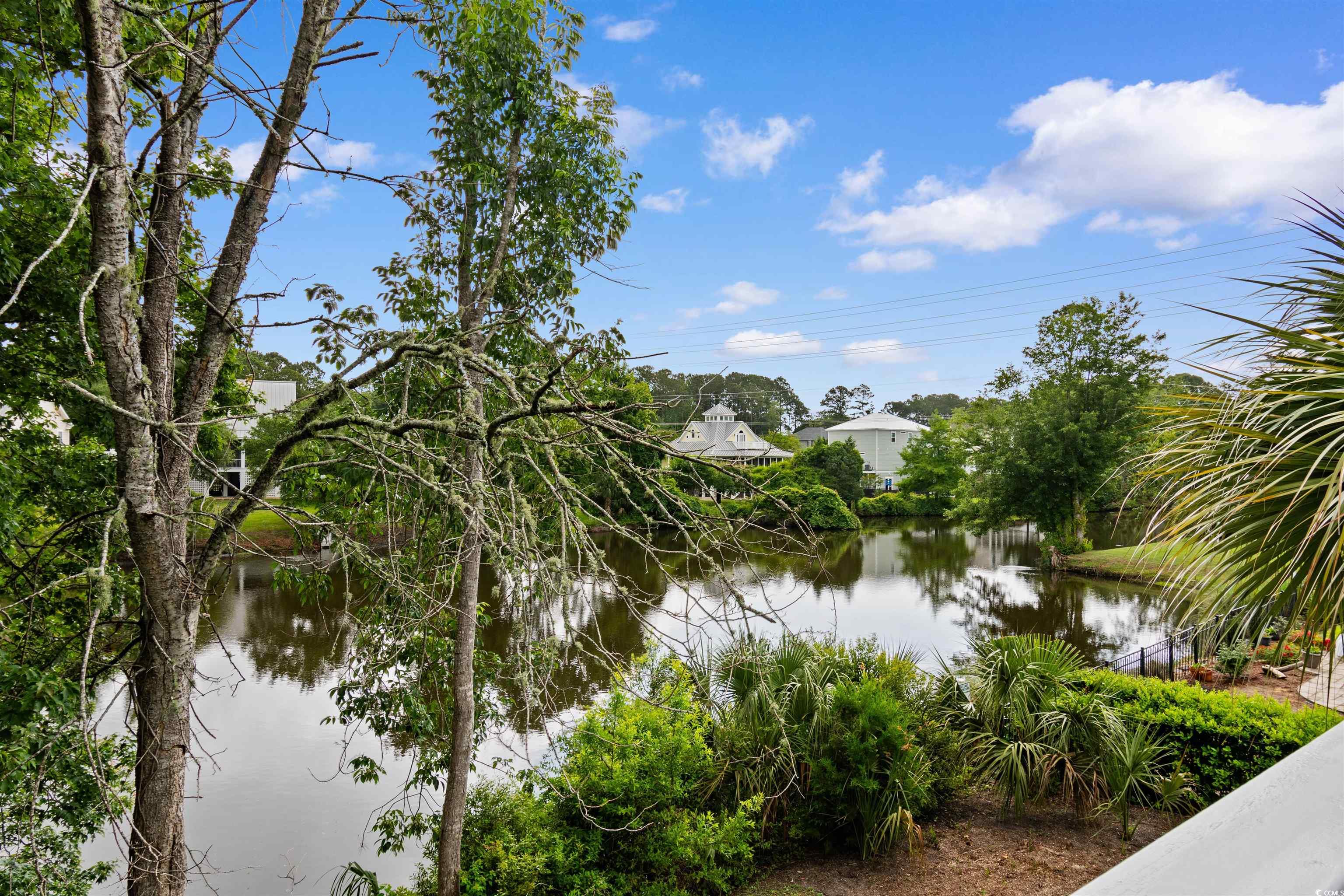 141 Cayman Loop, Pawleys Island, South Carolina image 32