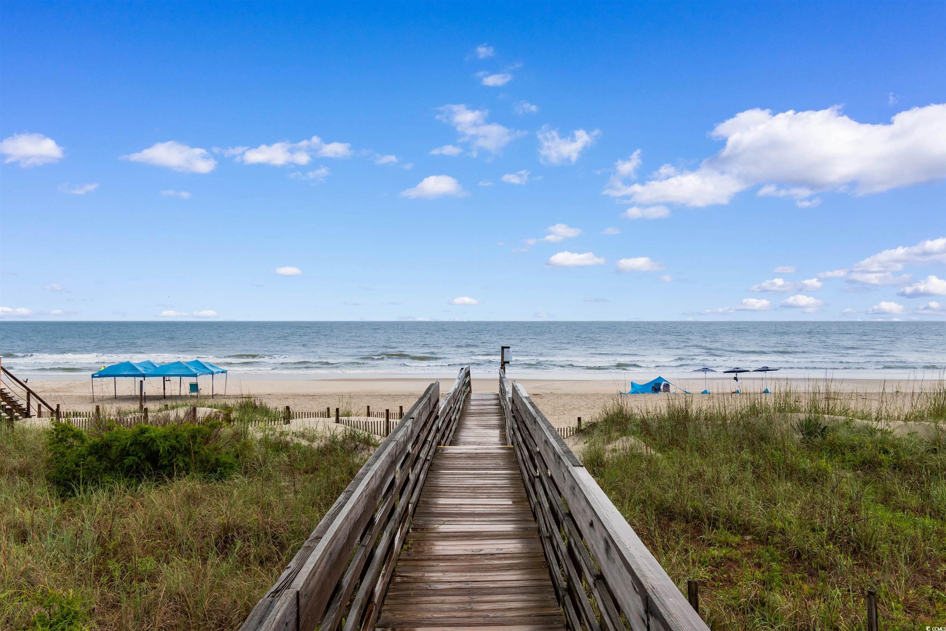 141 Cayman Loop, Pawleys Island, South Carolina image 38