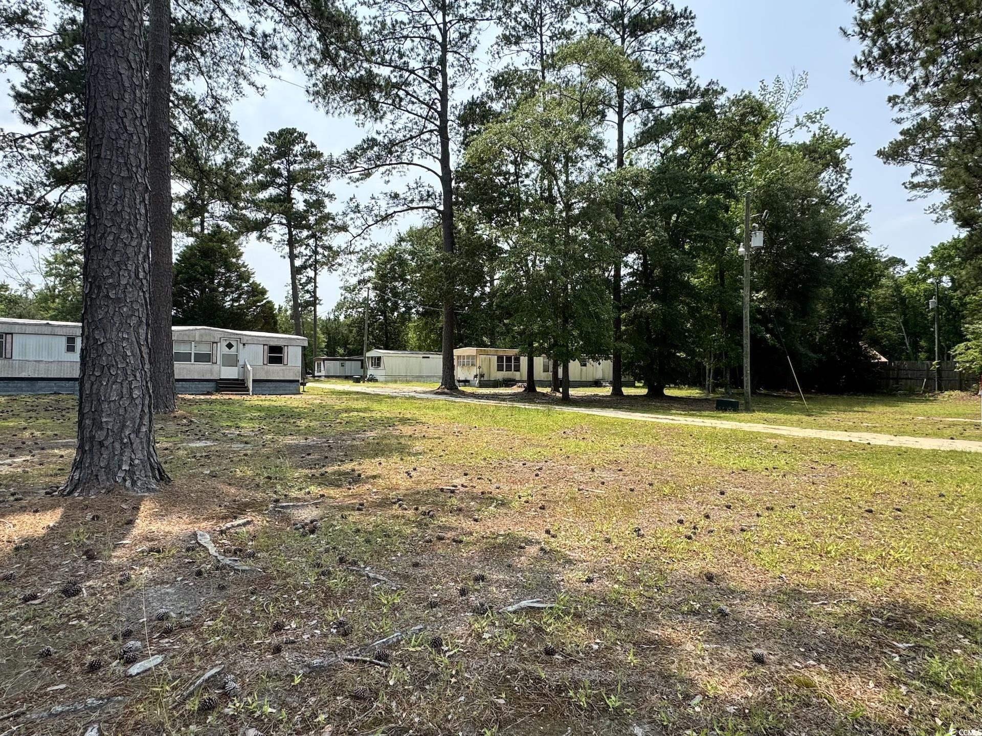 1515 Old Hamer Rd., Dillon, South Carolina image 4