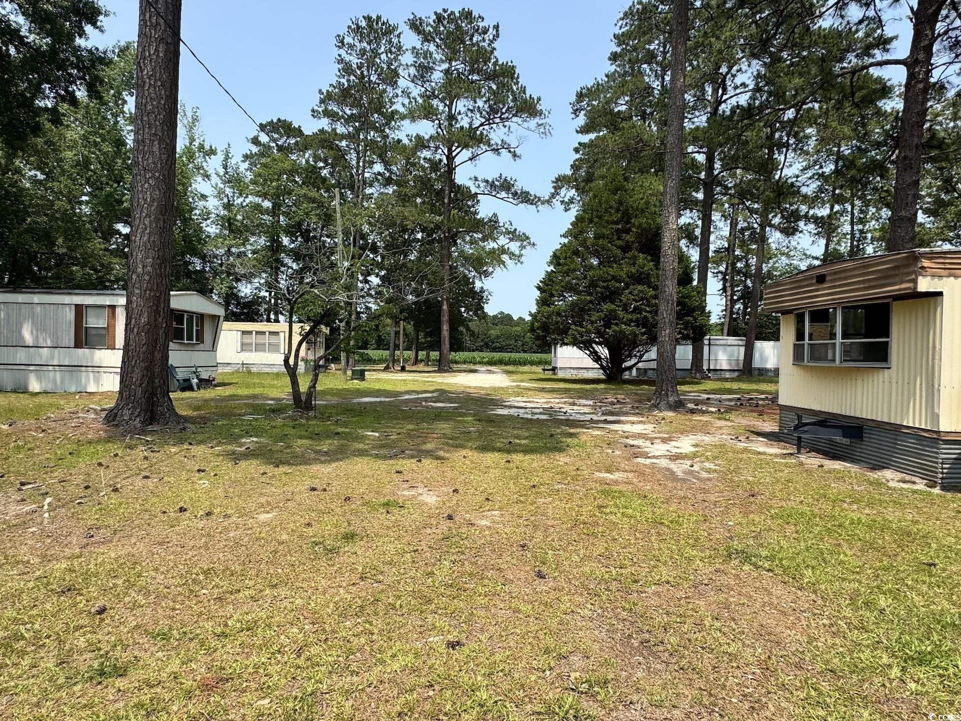 1515 Old Hamer Rd., Dillon, South Carolina image 8