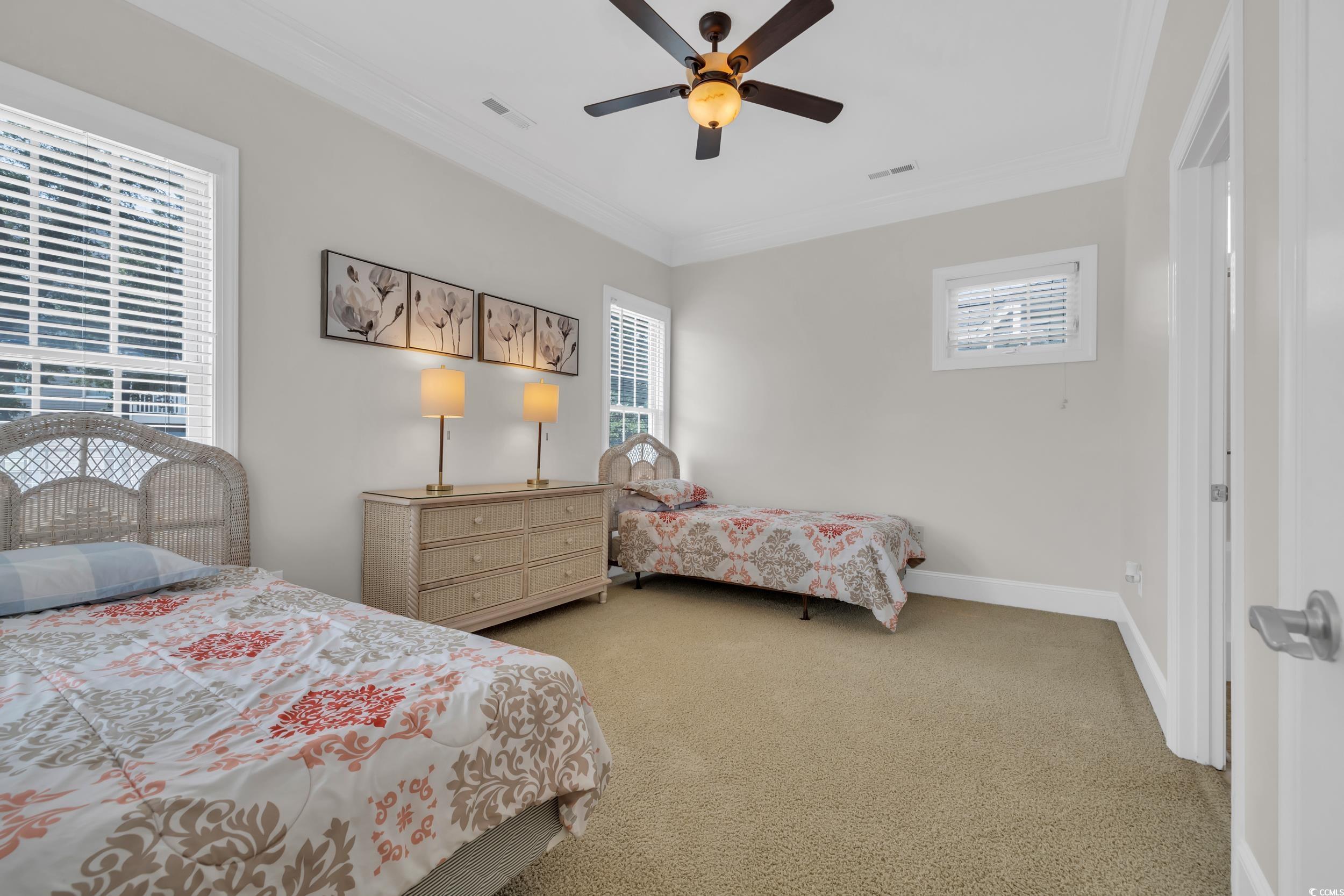 Carpeted bedroom with multiple windows, crown molding, baseboards, and ceiling fan