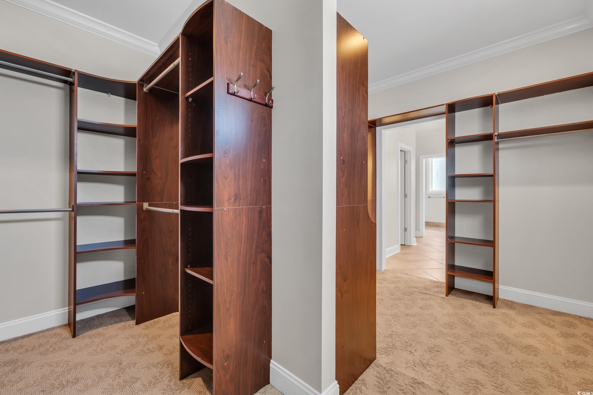 Spacious closet featuring carpet flooring