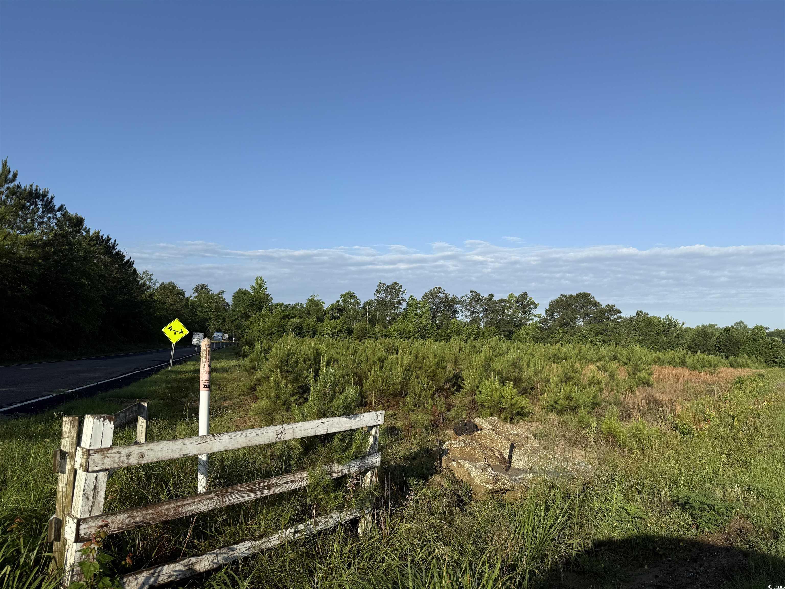 7 Acres Old Pee Dee Rd., Hemingway, South Carolina image 2