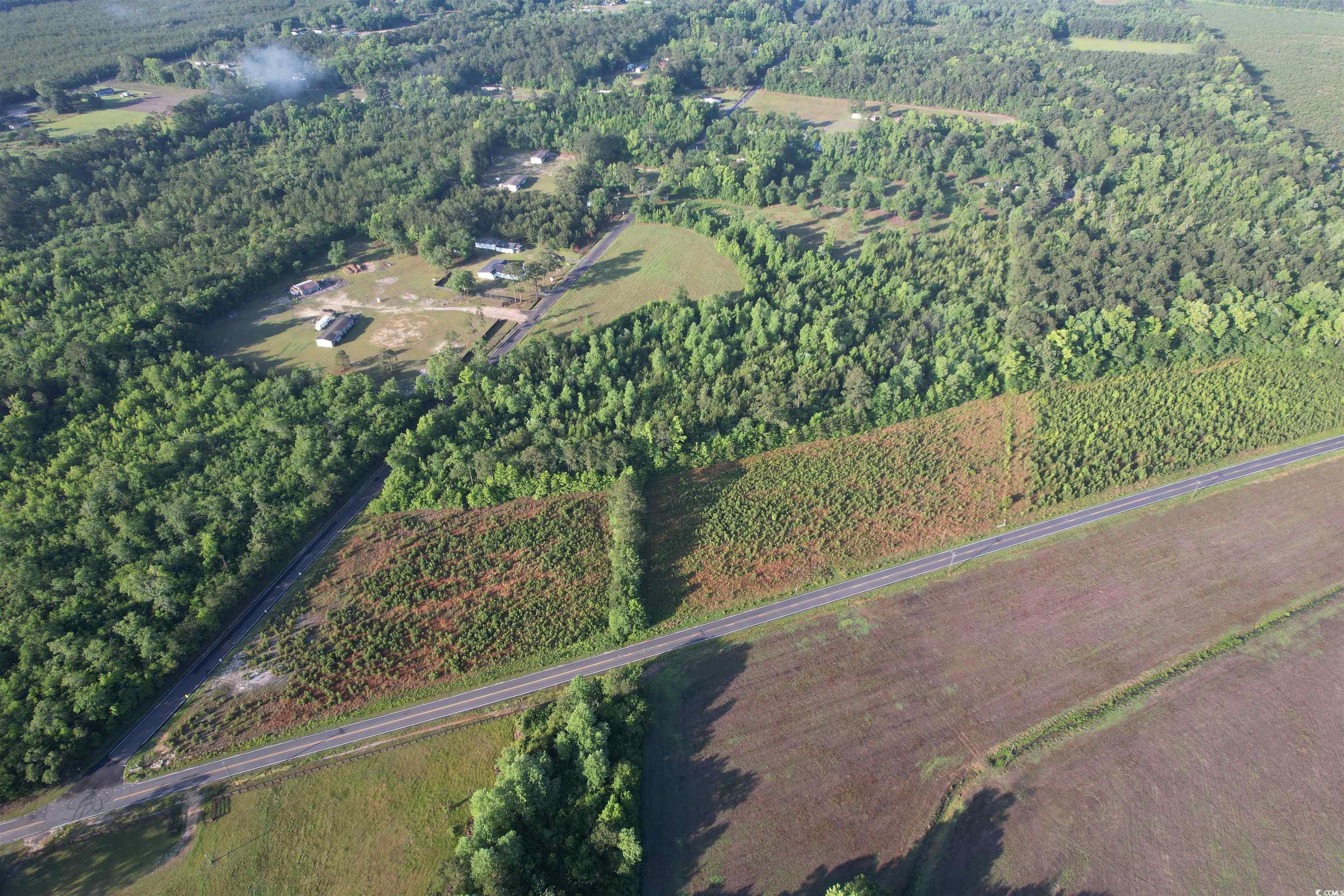 7 Acres-TBD Old Pee Dee Rd., Hemingway, South Carolina image 7