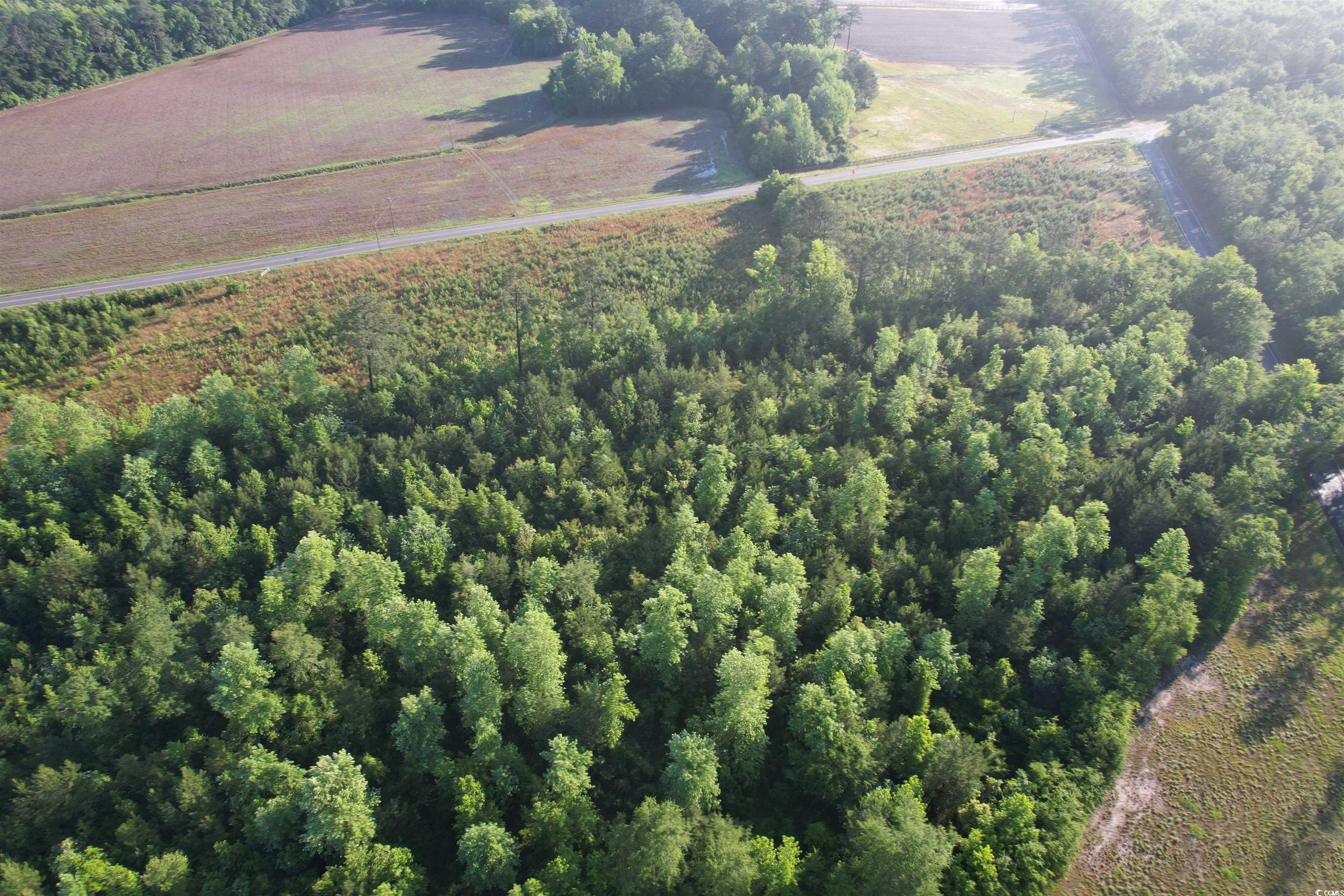 7 Acres-TBD Old Pee Dee Rd., Hemingway, South Carolina image 8