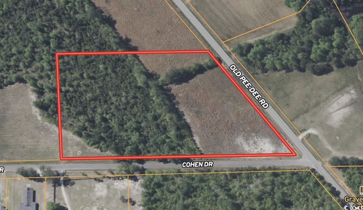 7 Acres-TBD Old Pee Dee Rd., Hemingway, South Carolina image 9