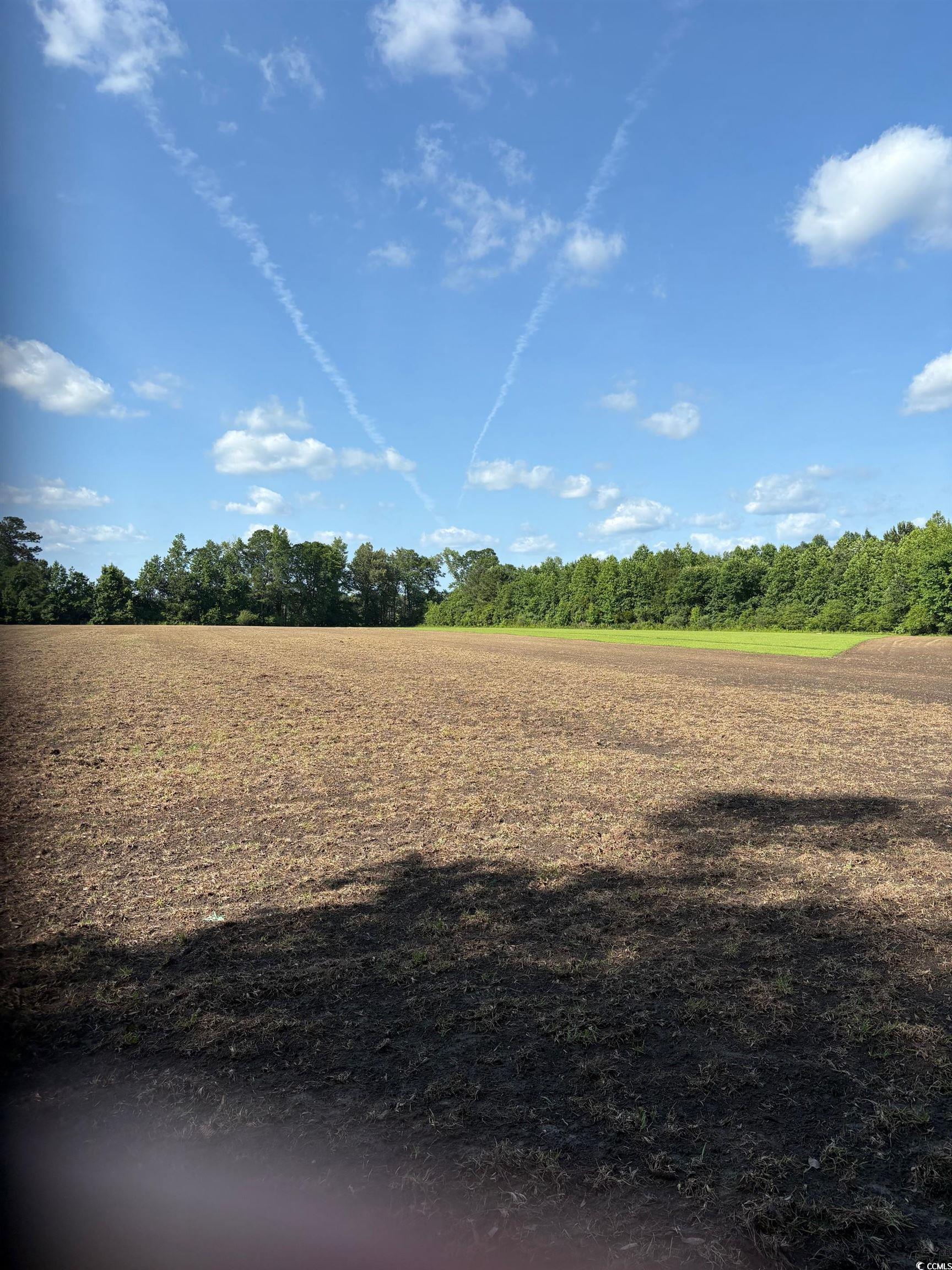 8745 Swamp Fox Hwy. E, Tabor City, North Carolina image 1