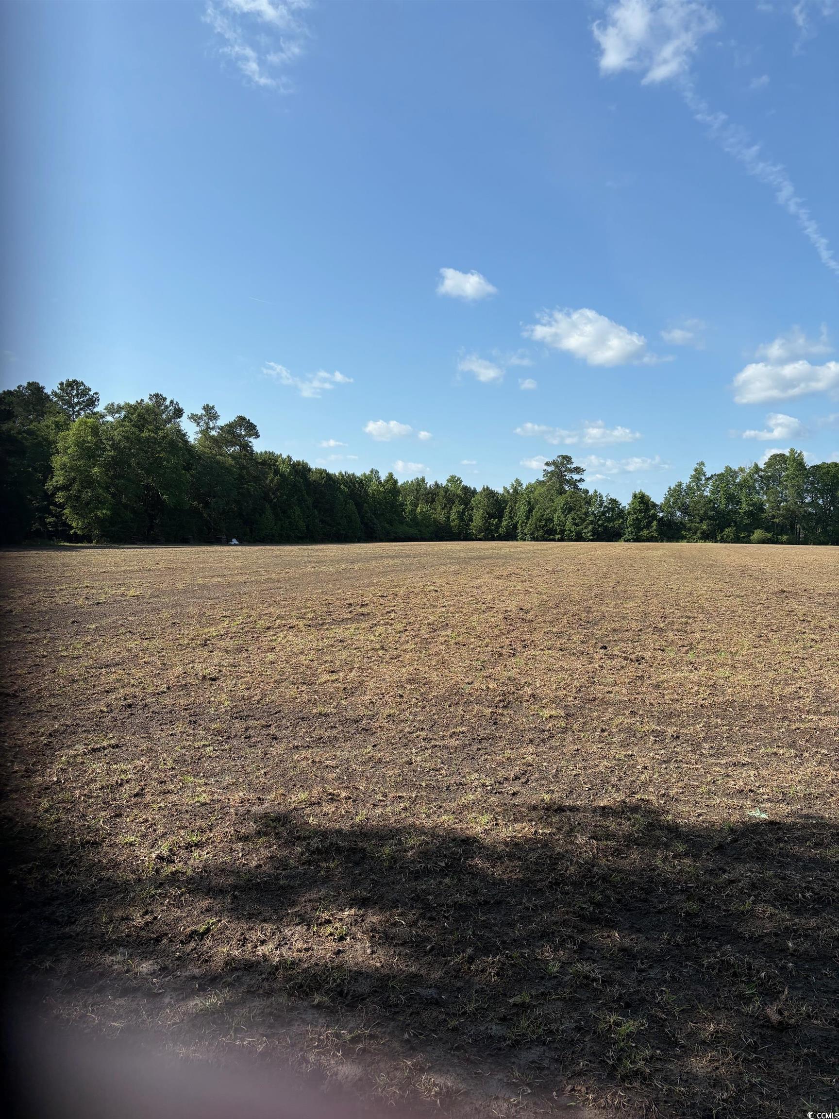 8745 Swamp Fox Hwy. E, Tabor City, North Carolina image 2