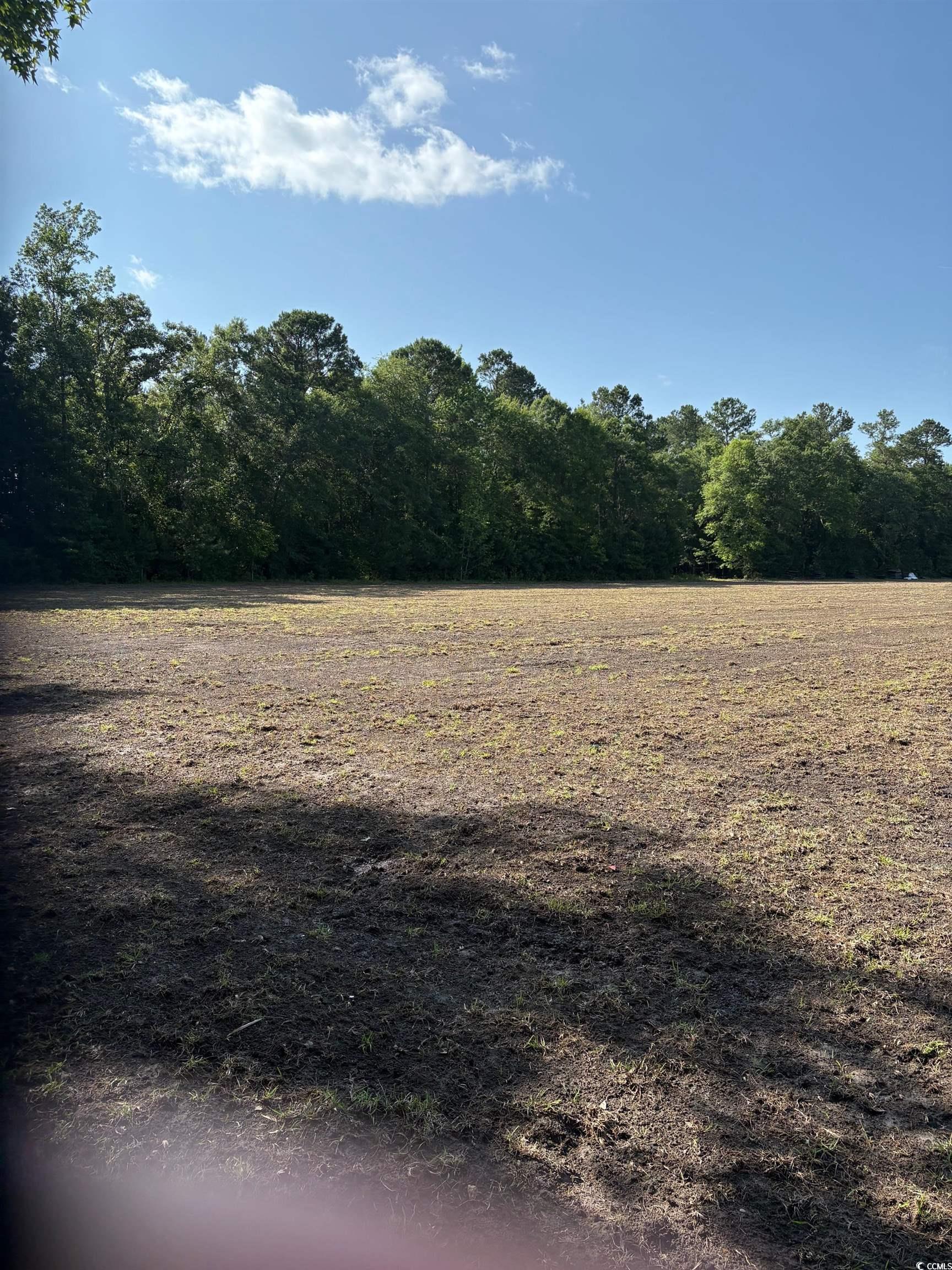 8745 Swamp Fox Hwy. E, Tabor City, North Carolina image 3