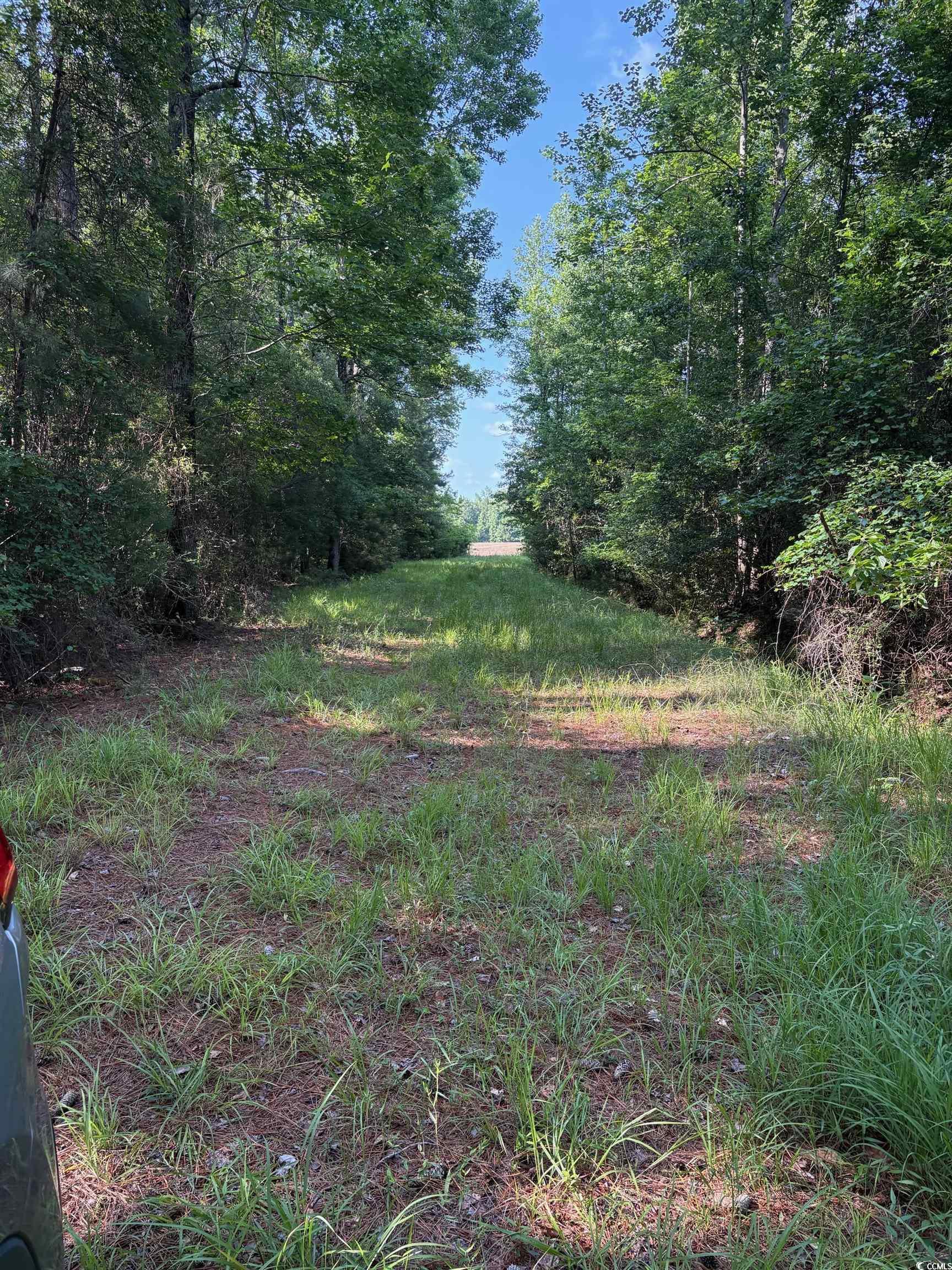 8745 Swamp Fox Hwy. E, Tabor City, North Carolina image 5