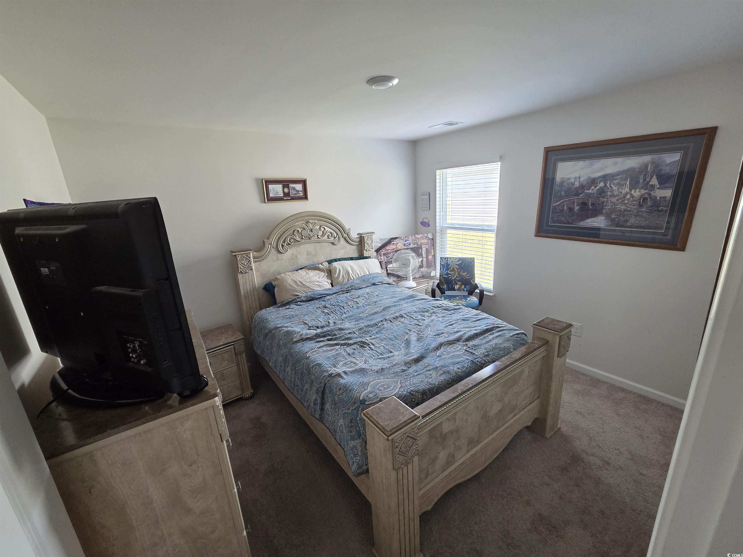 297 Harvest Ridge Way, Conway, South Carolina image 18