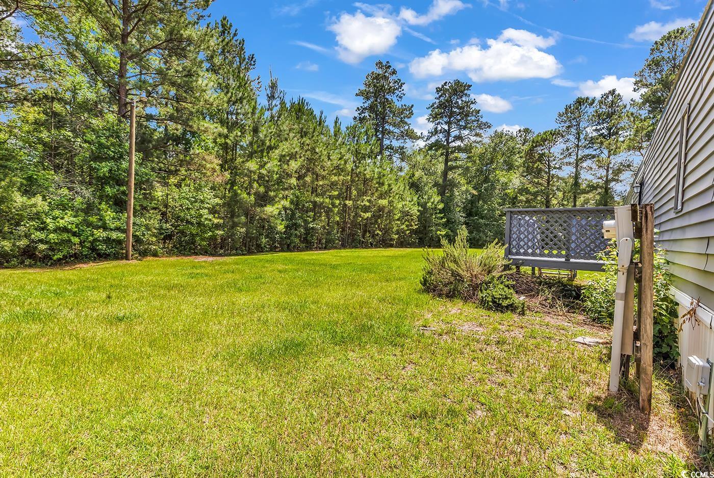3113 Clemmons Rd., Loris, South Carolina image 28