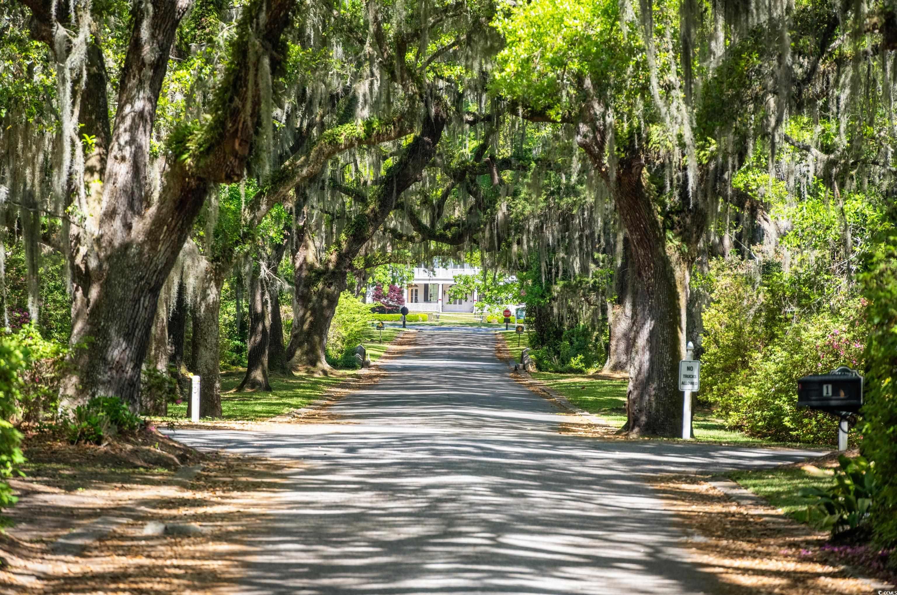 346 Tuckers Rd. #A, Pawleys Island, South Carolina image 31