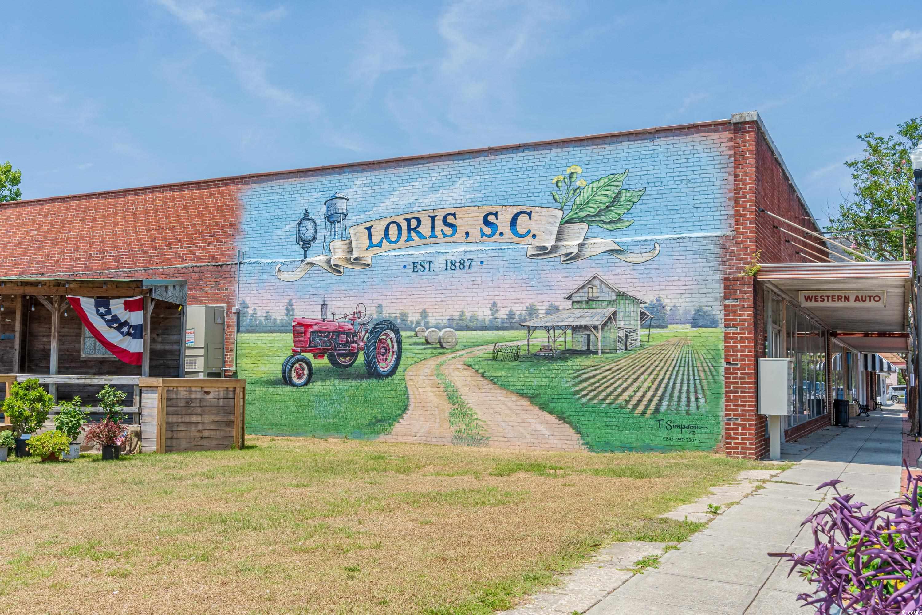 971 Mcnabb Rd., Loris, South Carolina image 39