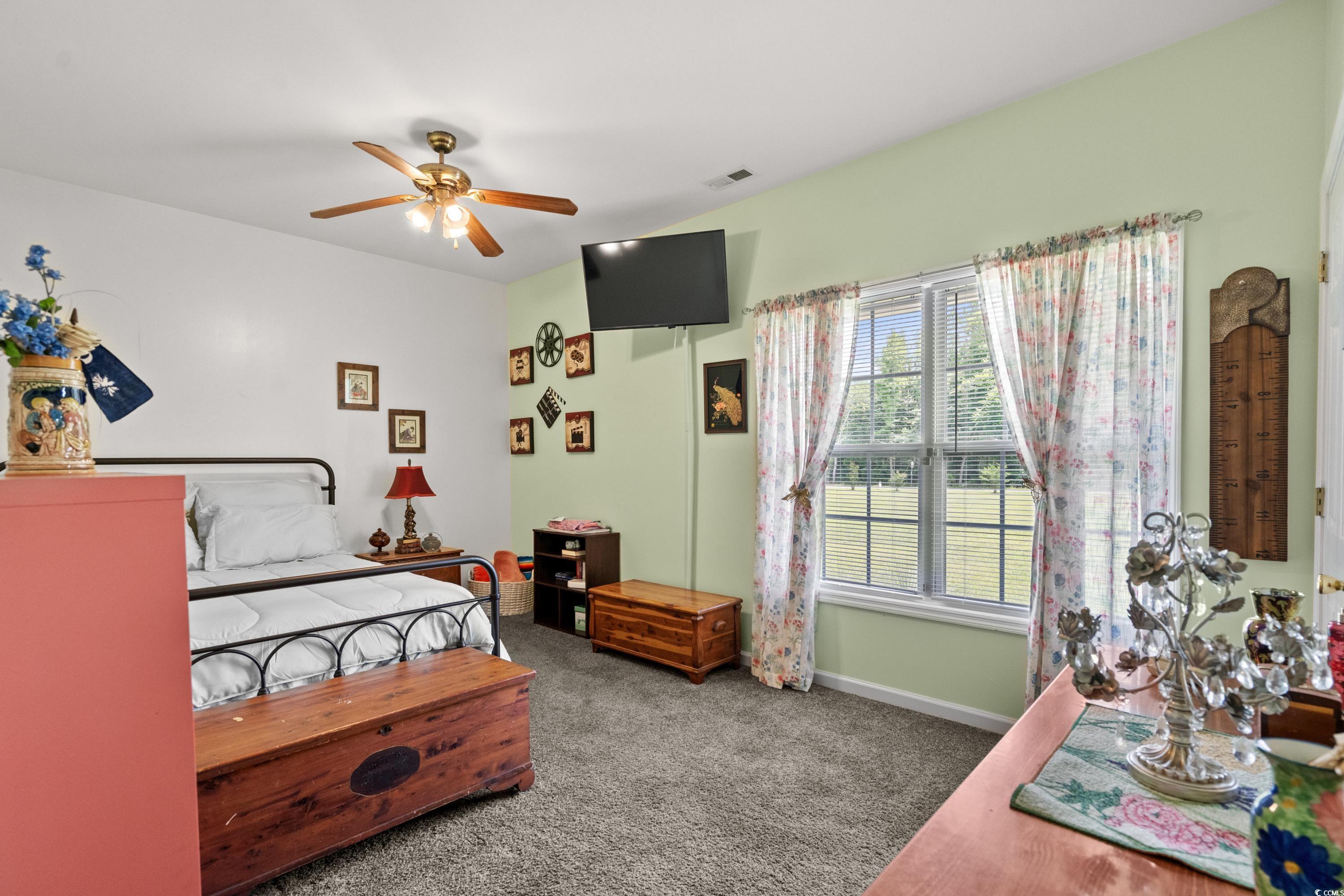 971A Mcnabb Rd., Loris, South Carolina image 13
