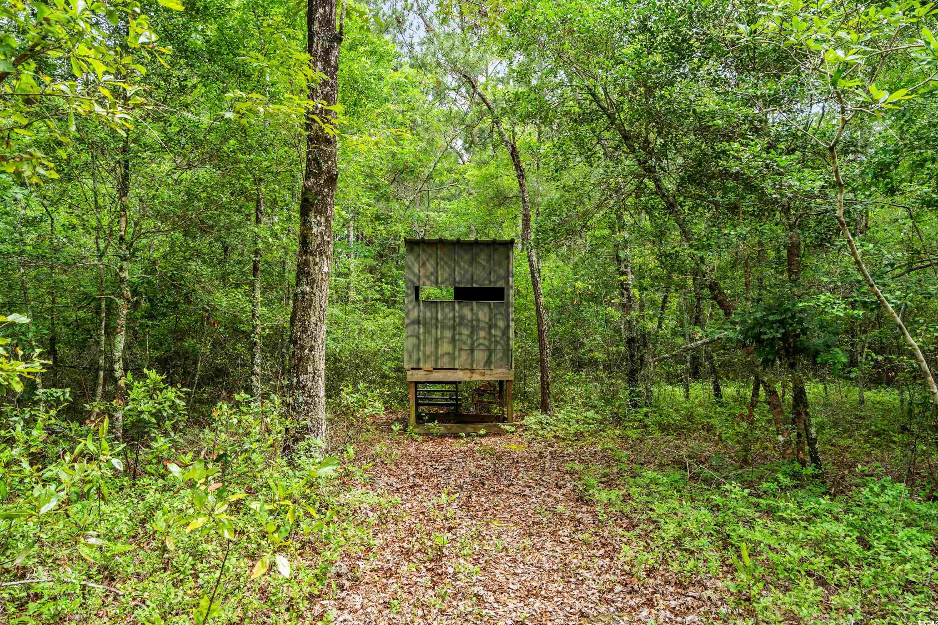 971A Mcnabb Rd., Loris, South Carolina image 33