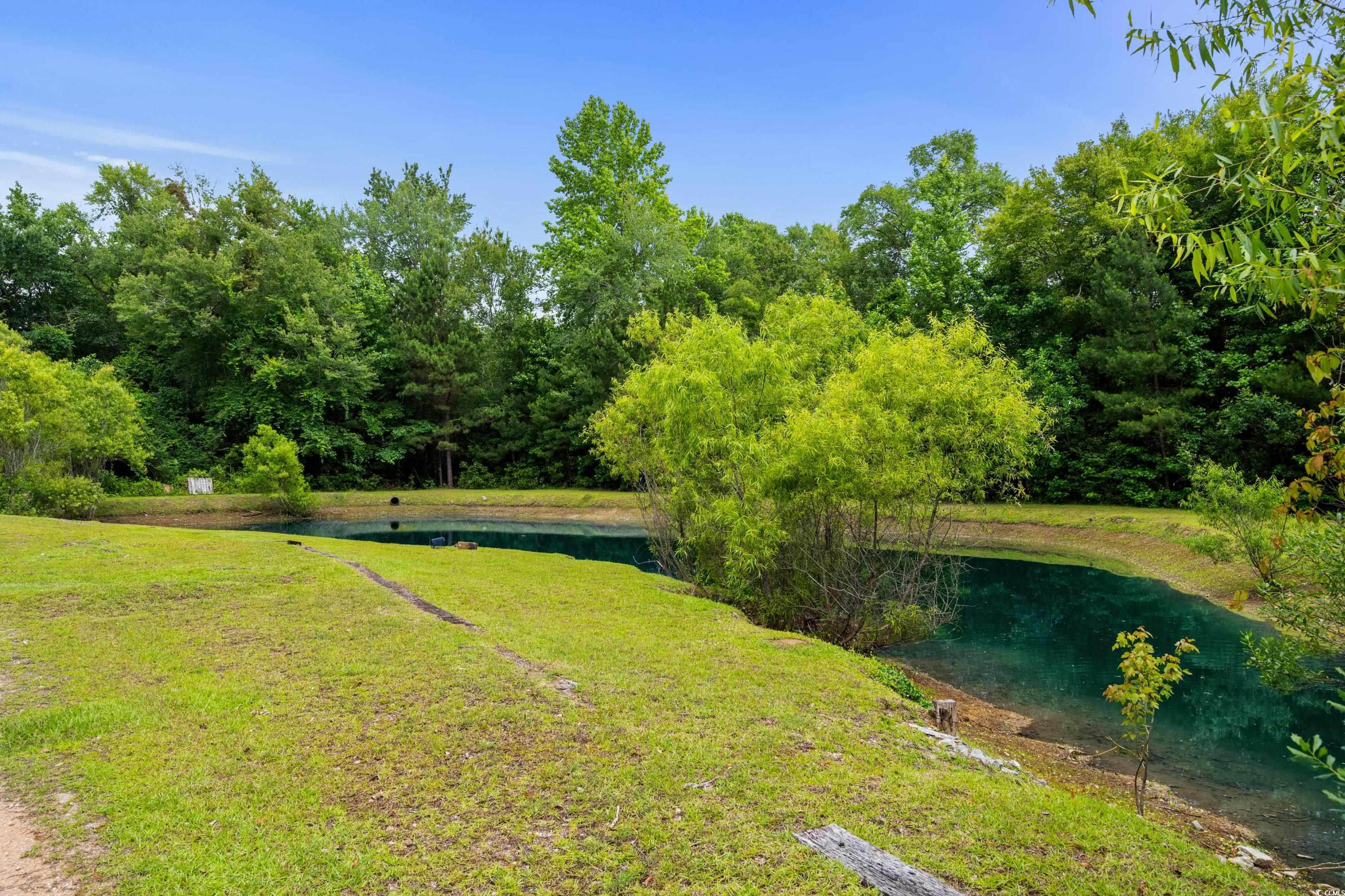 951 Mcnabb Rd., Loris, South Carolina image 13
