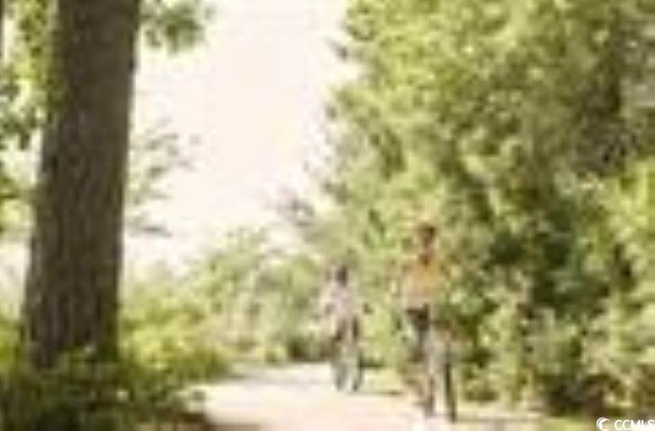 469 Magnolia Terrace Dr, Myrtle Beach, South Carolina image 21