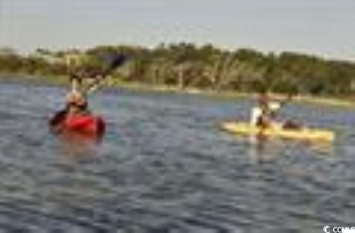 469 Magnolia Terrace Dr, Myrtle Beach, South Carolina image 23