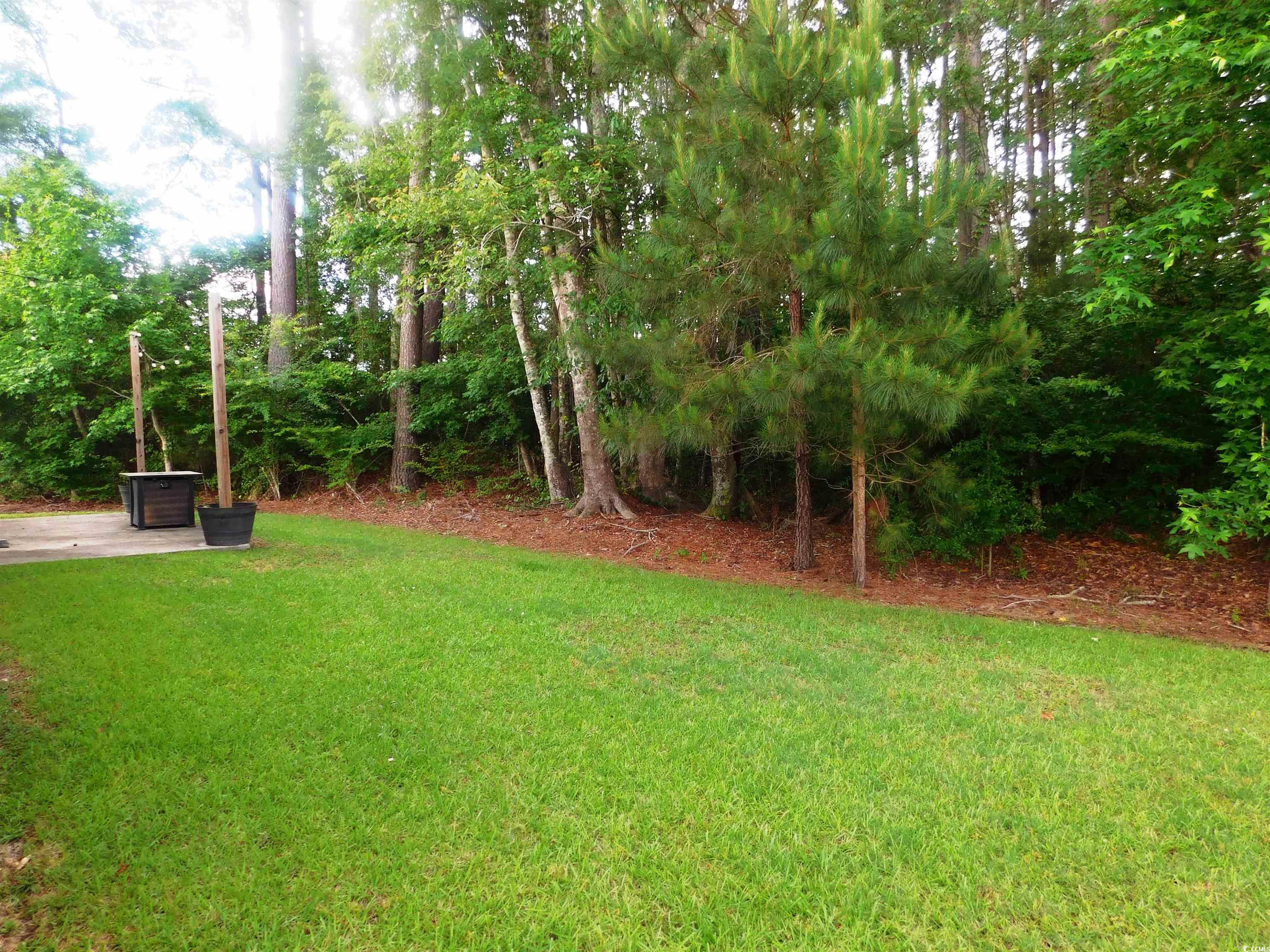 401 Quinta St., Longs, South Carolina image 17