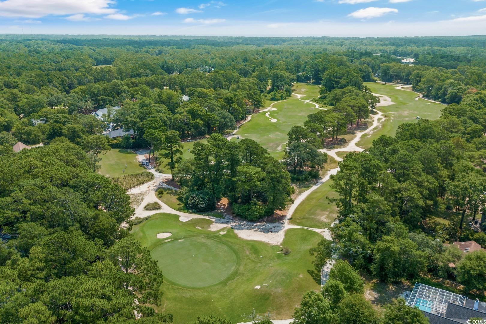124 Wicklow Way, Pawleys Island, South Carolina image 39